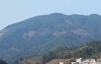 北虎朝尾山