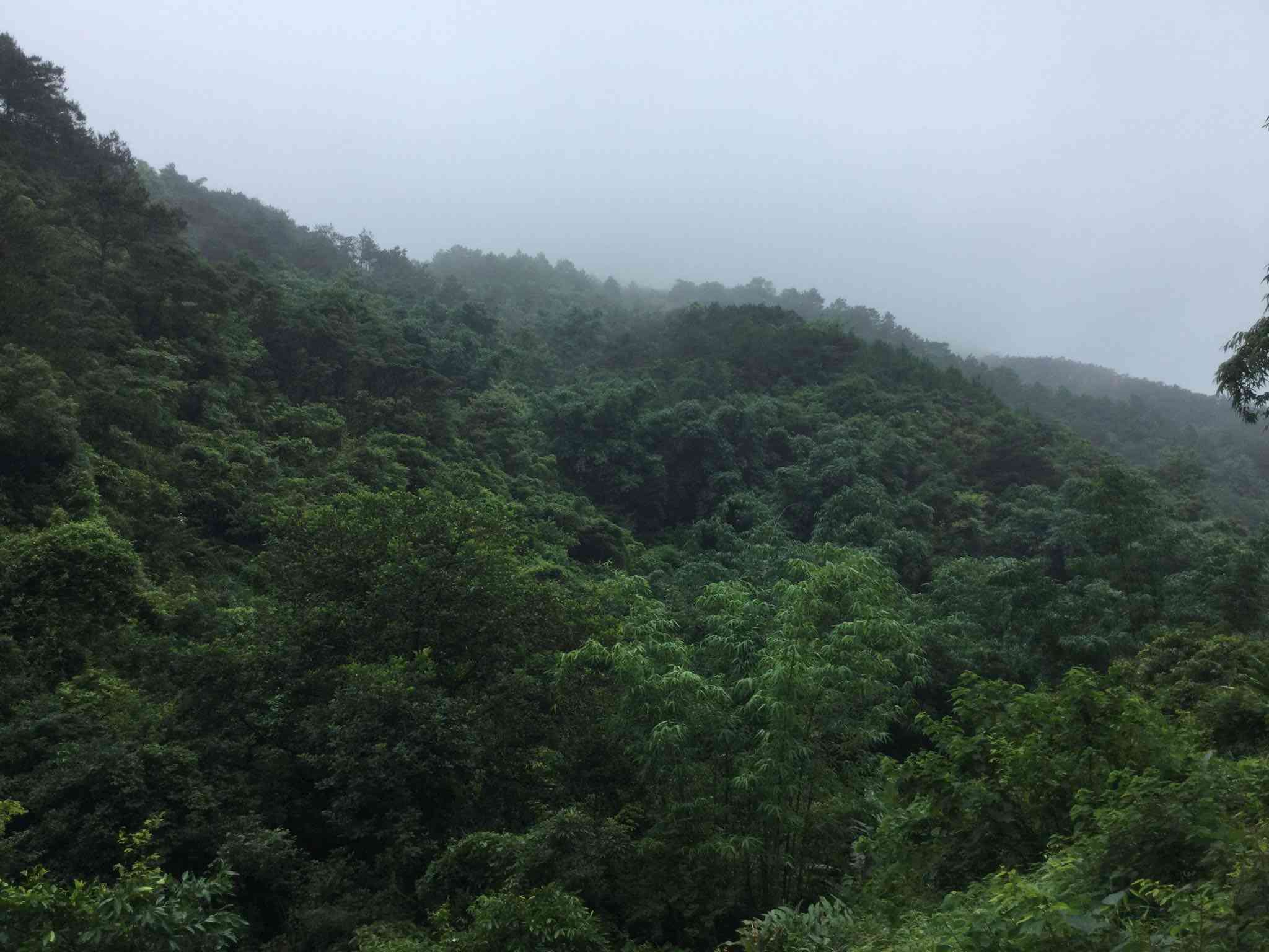 大山顶