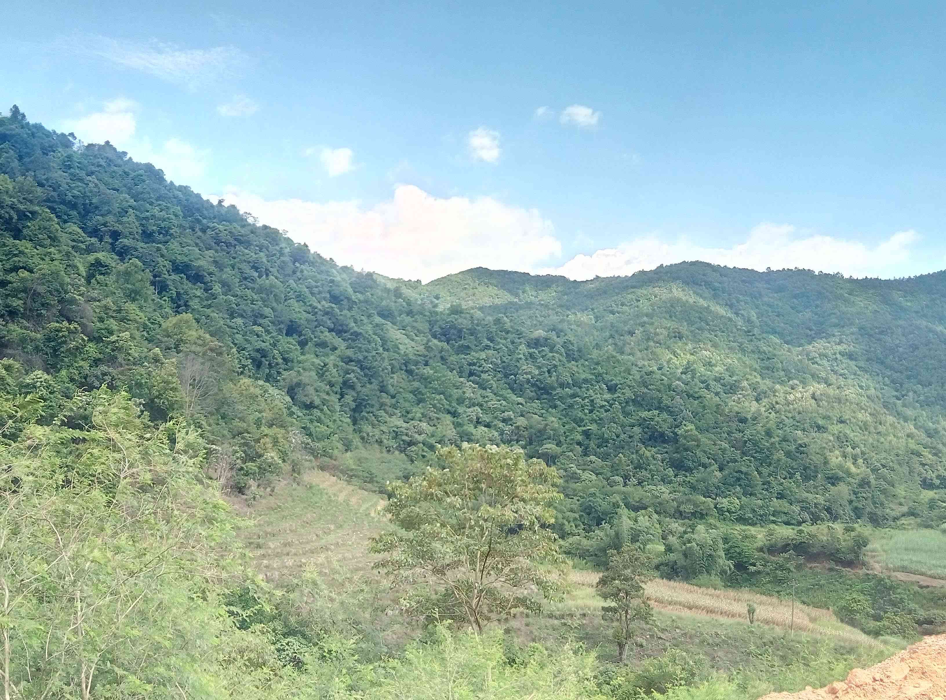 平康坡