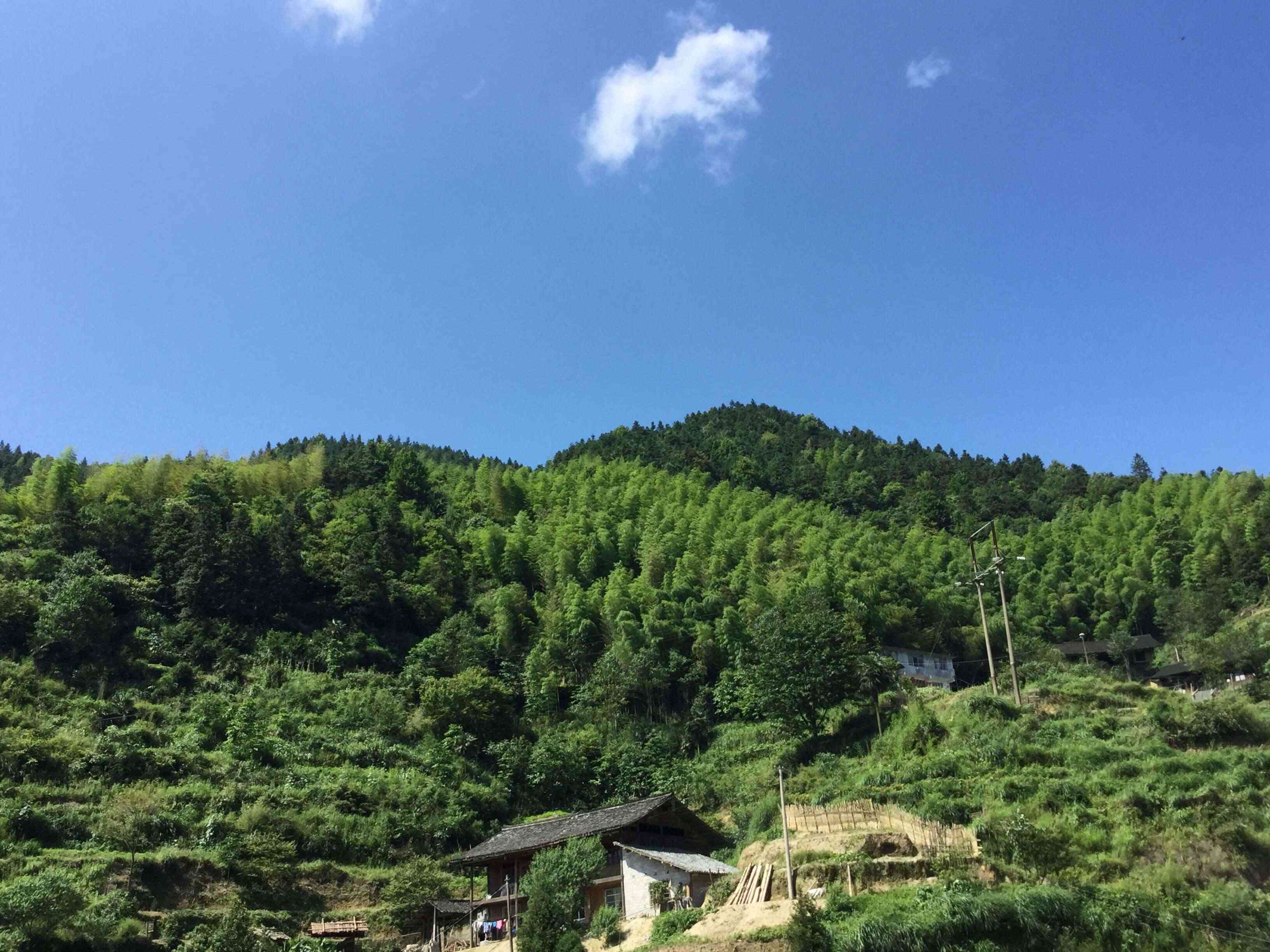 白果坳山