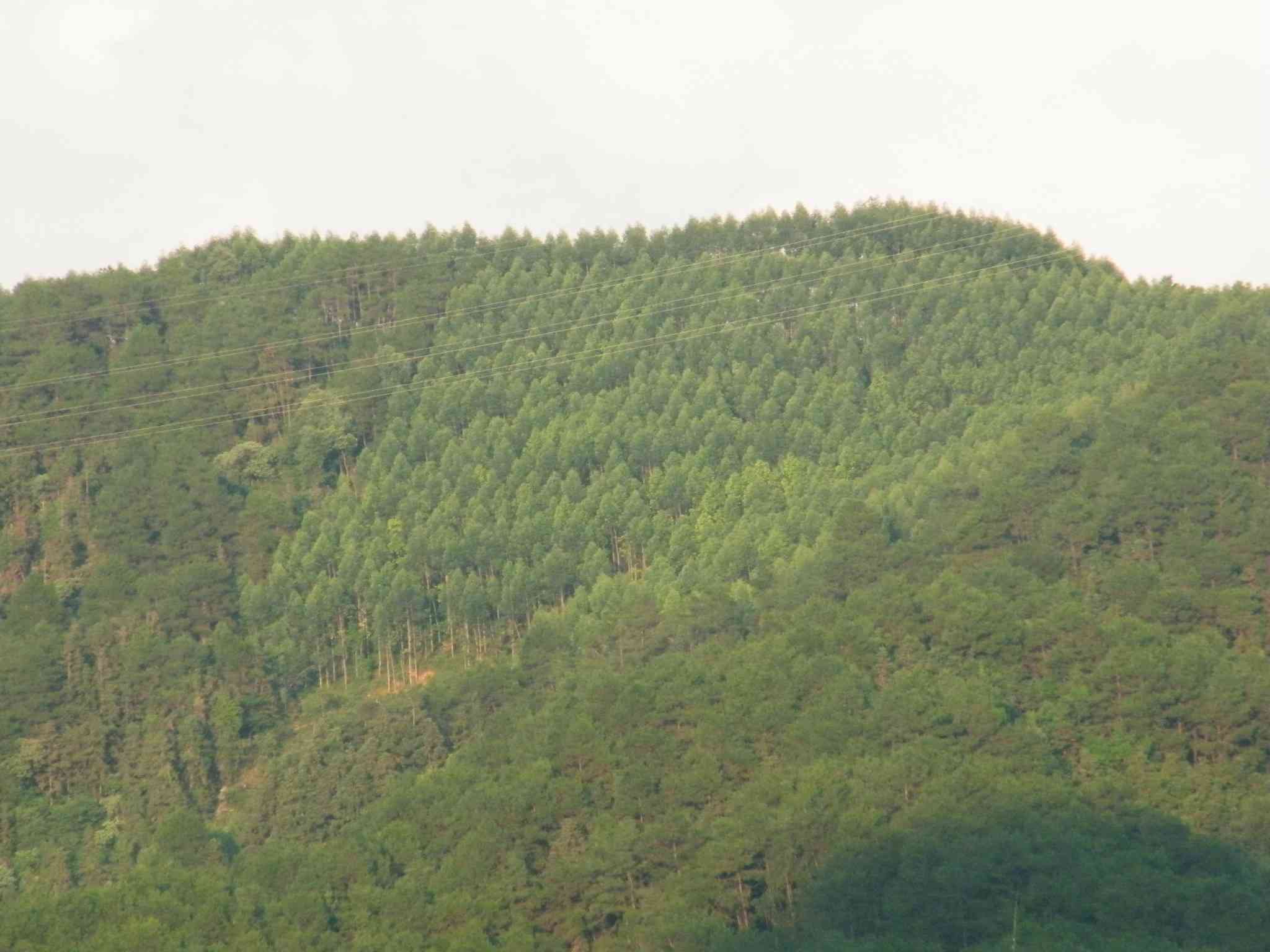 花布山