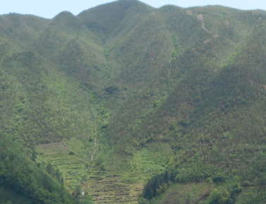 达棒山