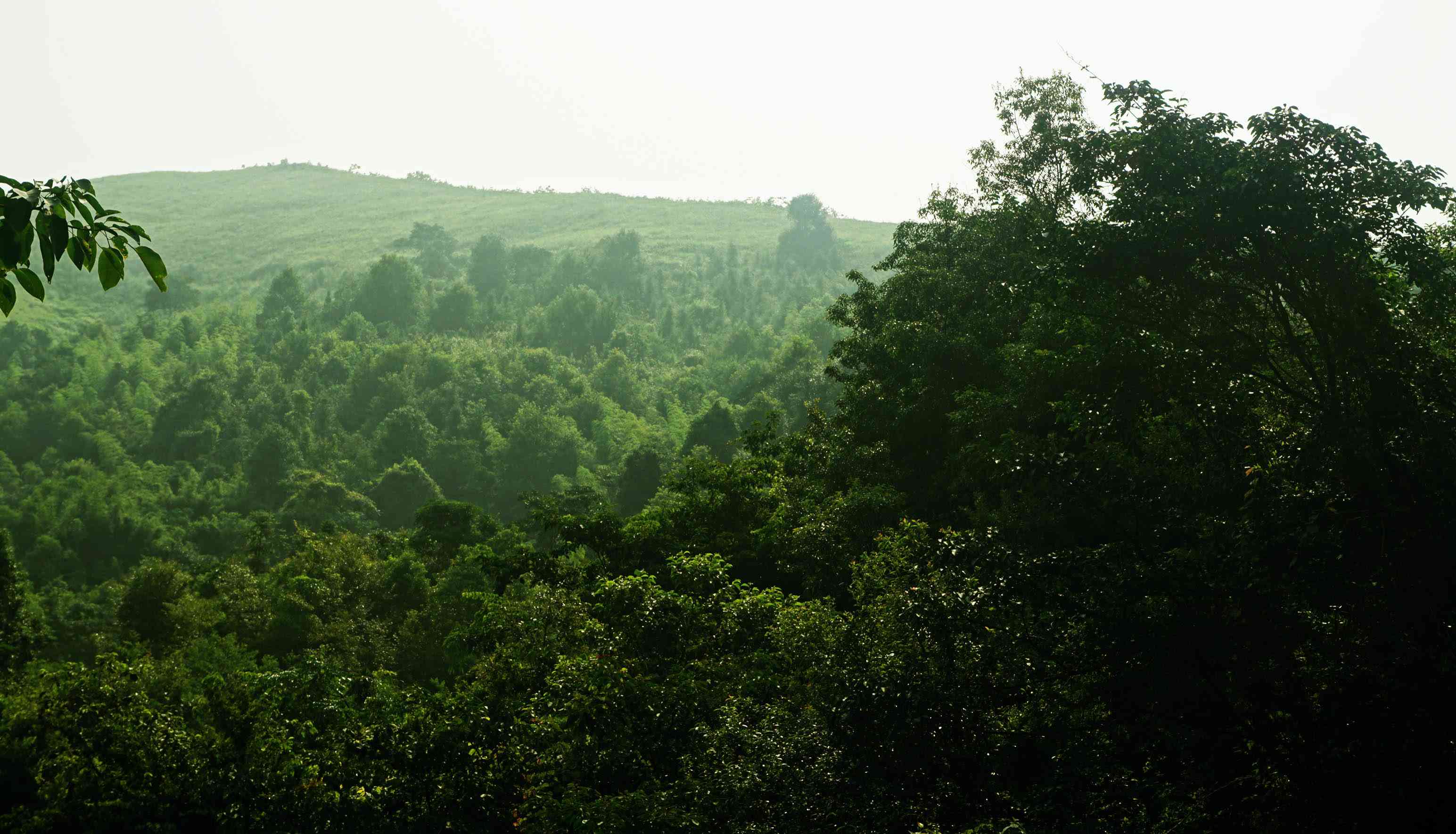 龙塘界山