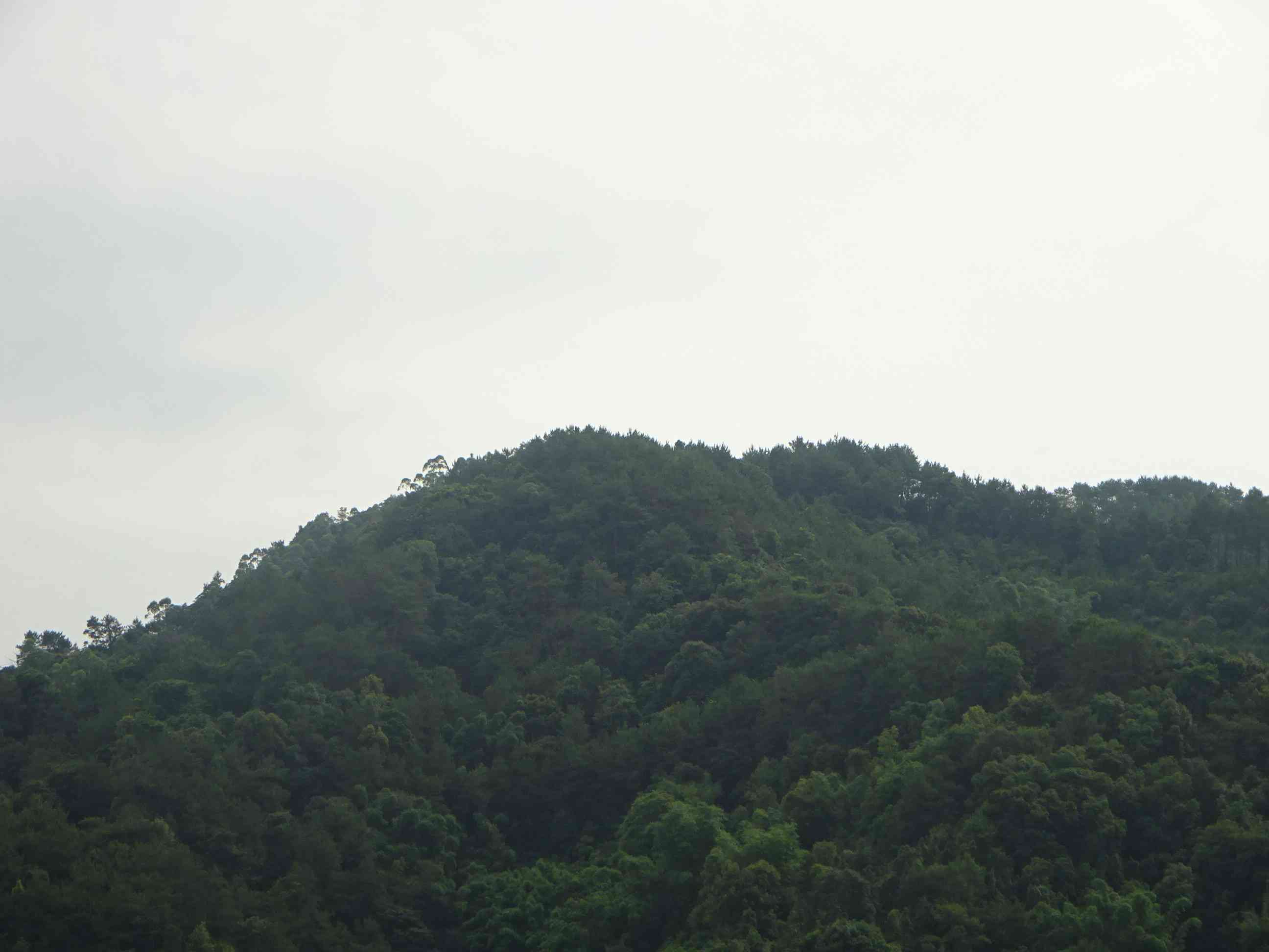 上横顶