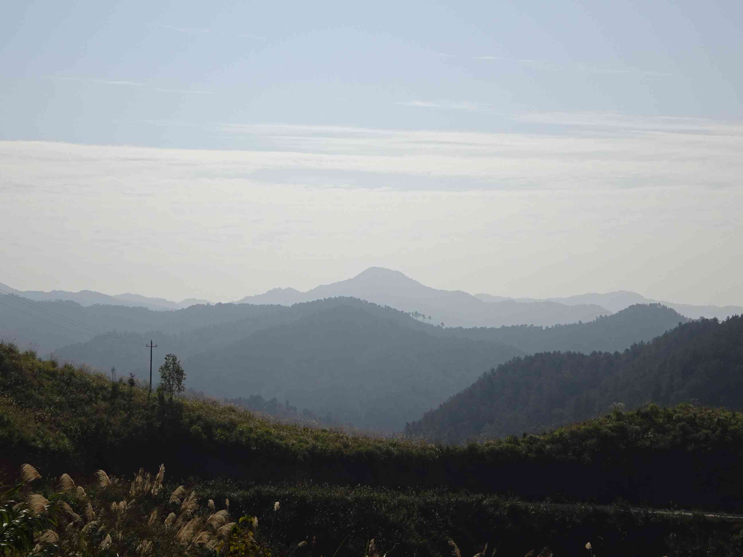 凤冲顶