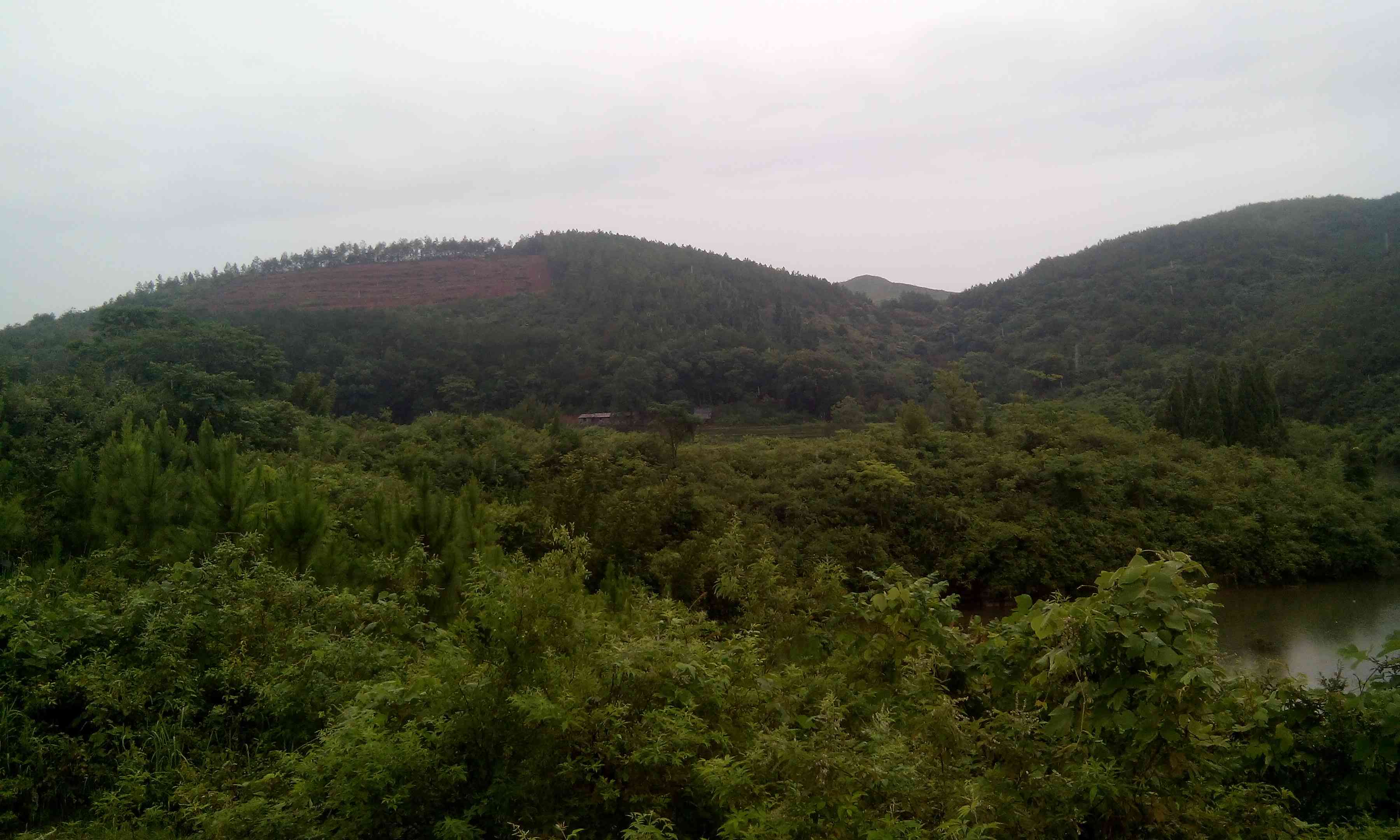 大凹里