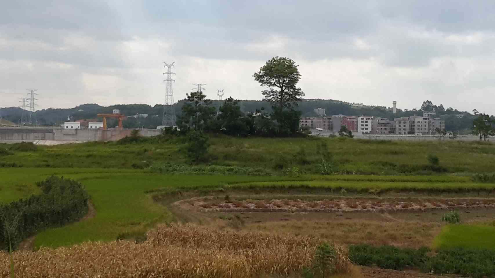 石子岭