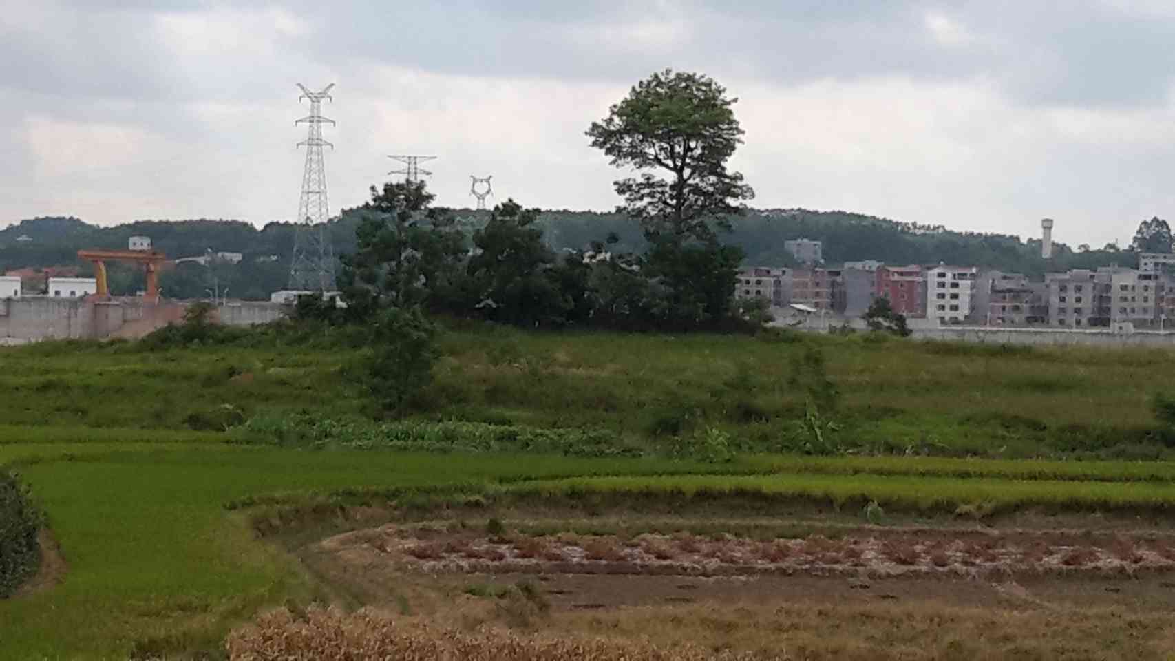 石子岭