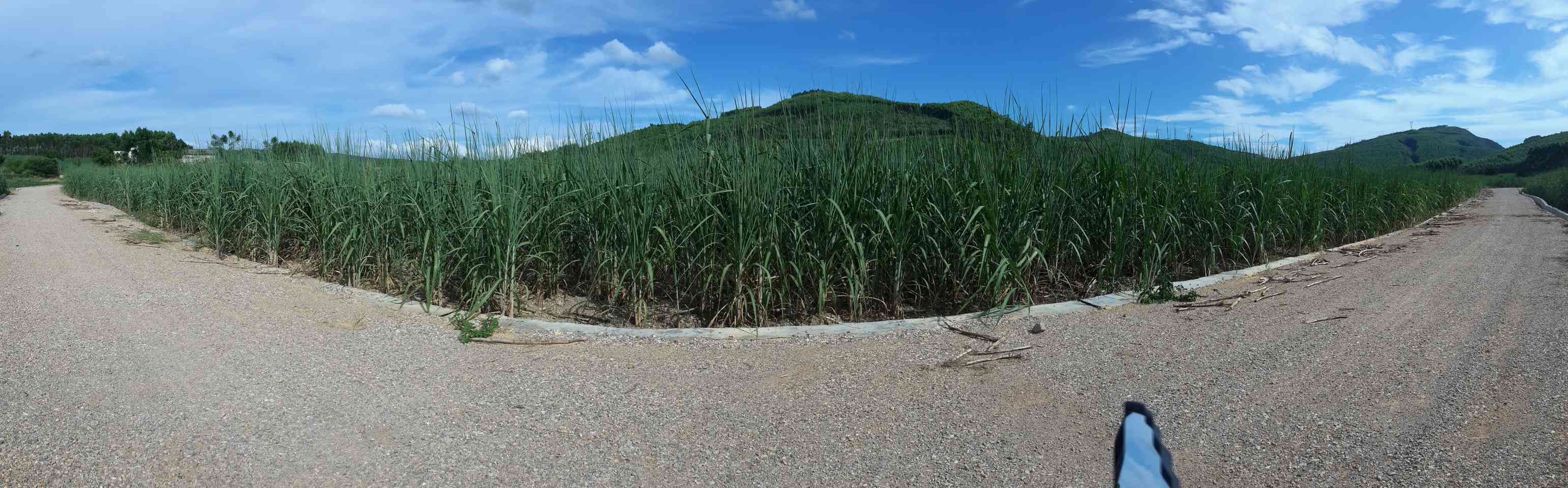 那郎垌