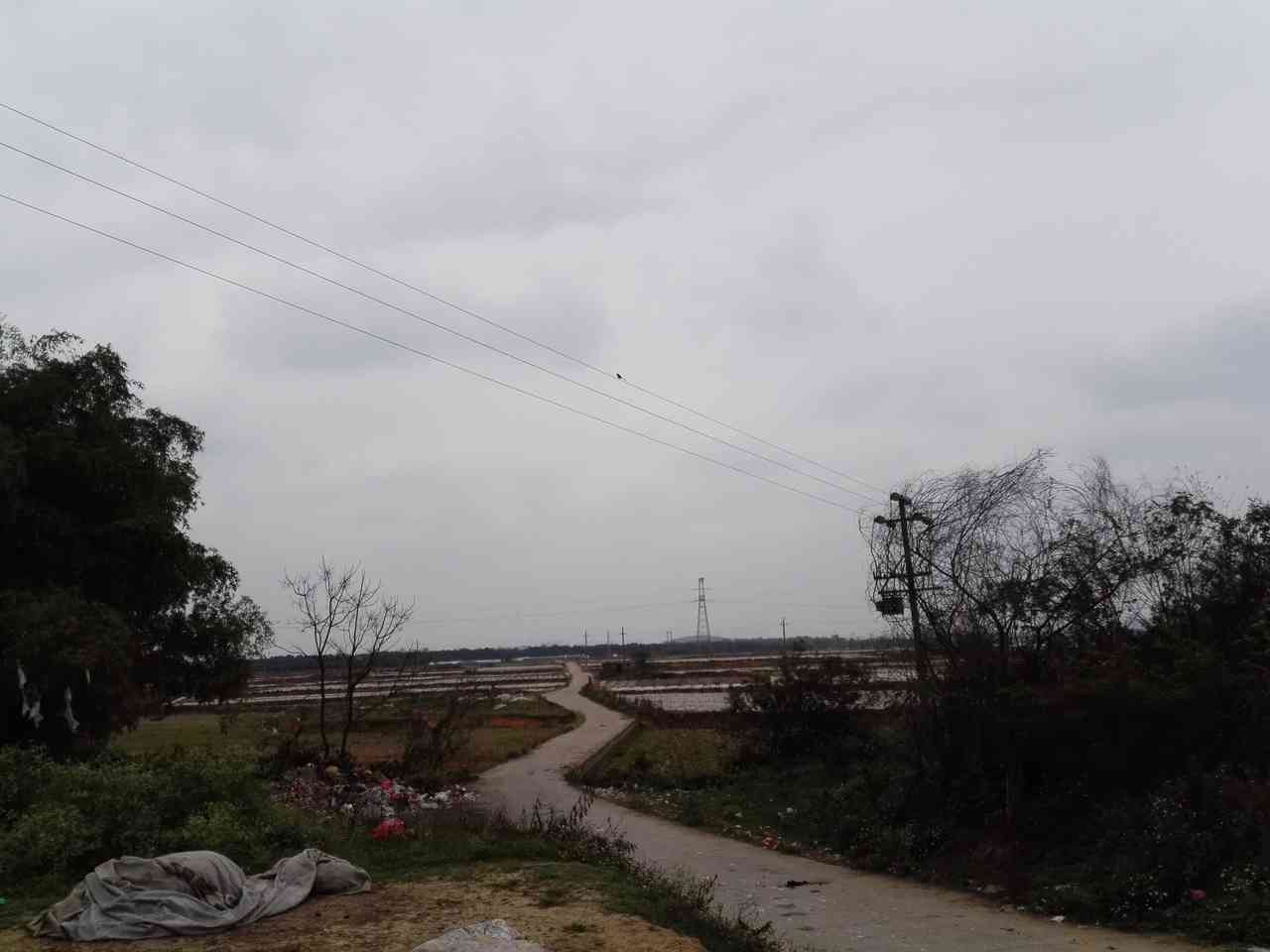 岸园地