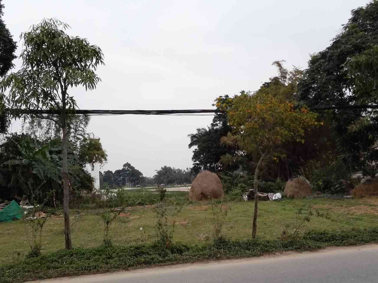 后背