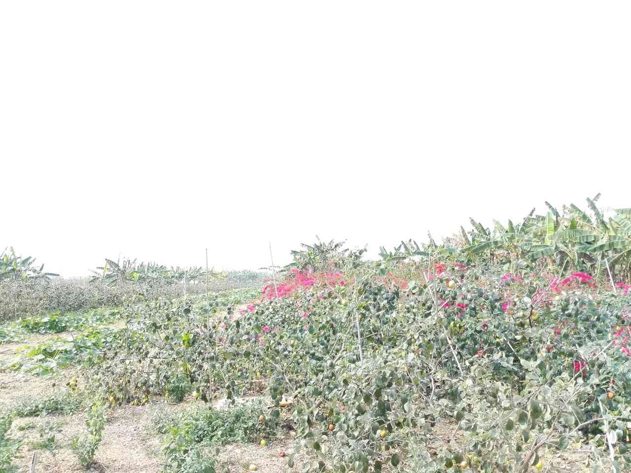 宝户