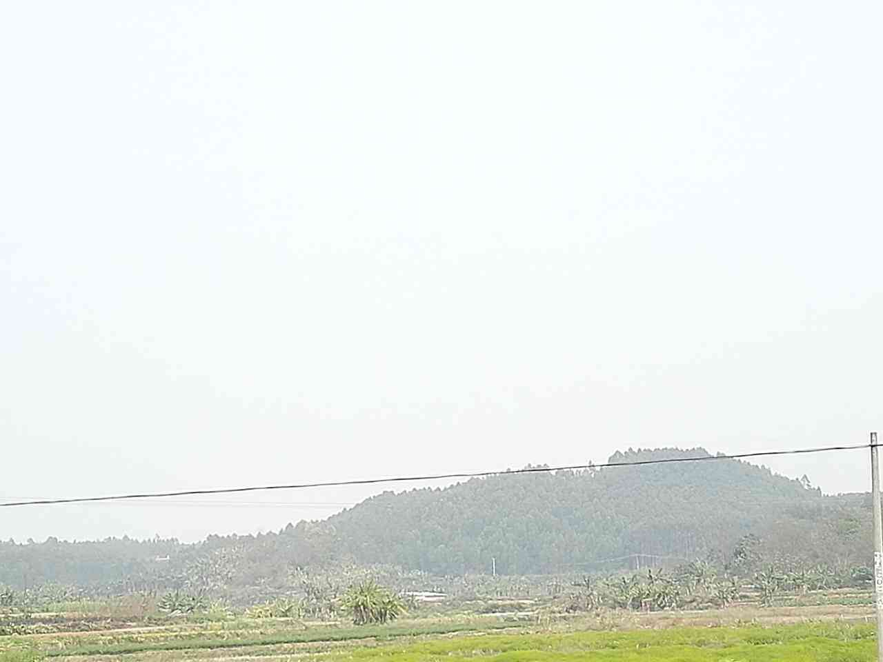 墓淡