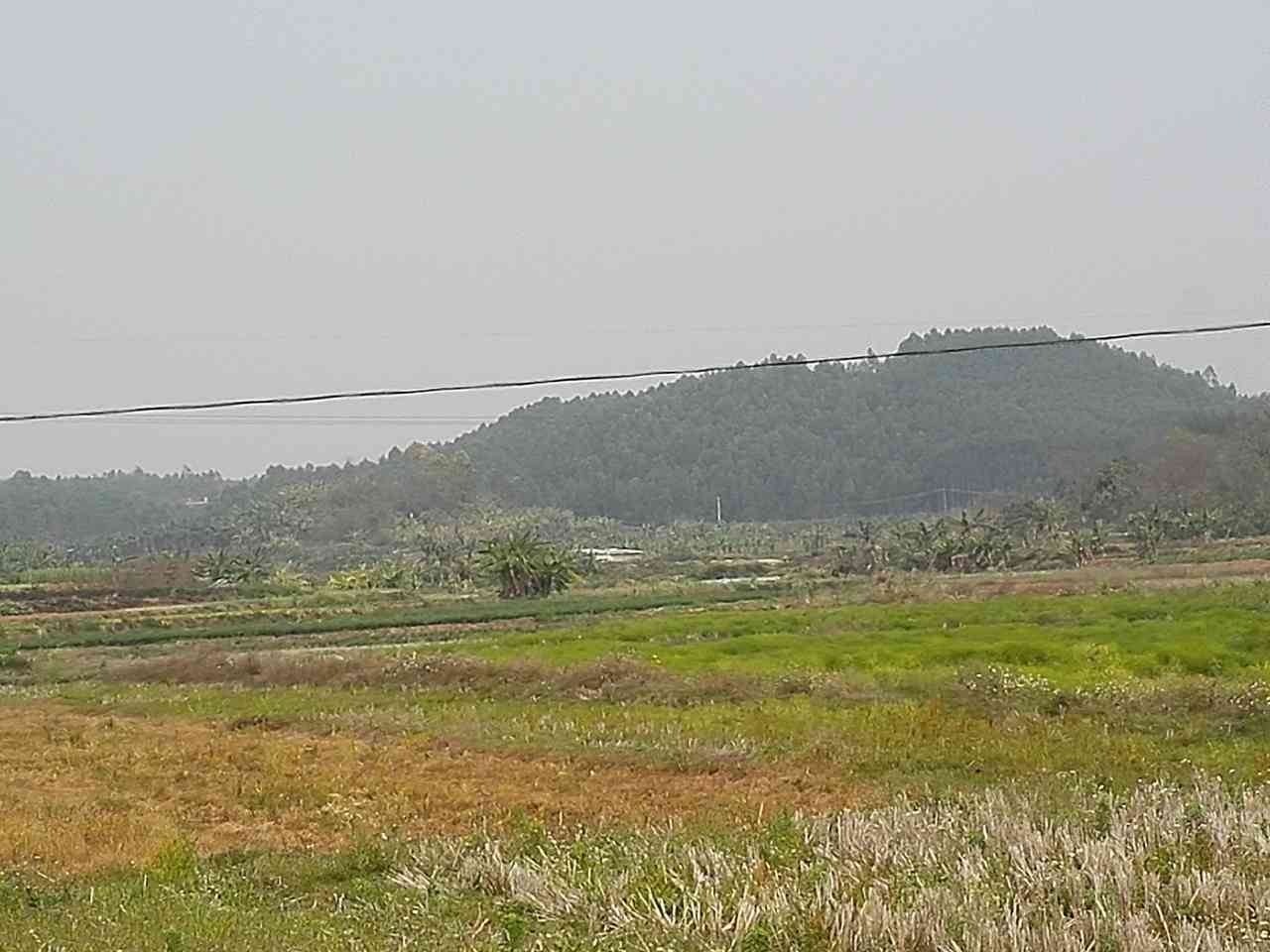 墓淡
