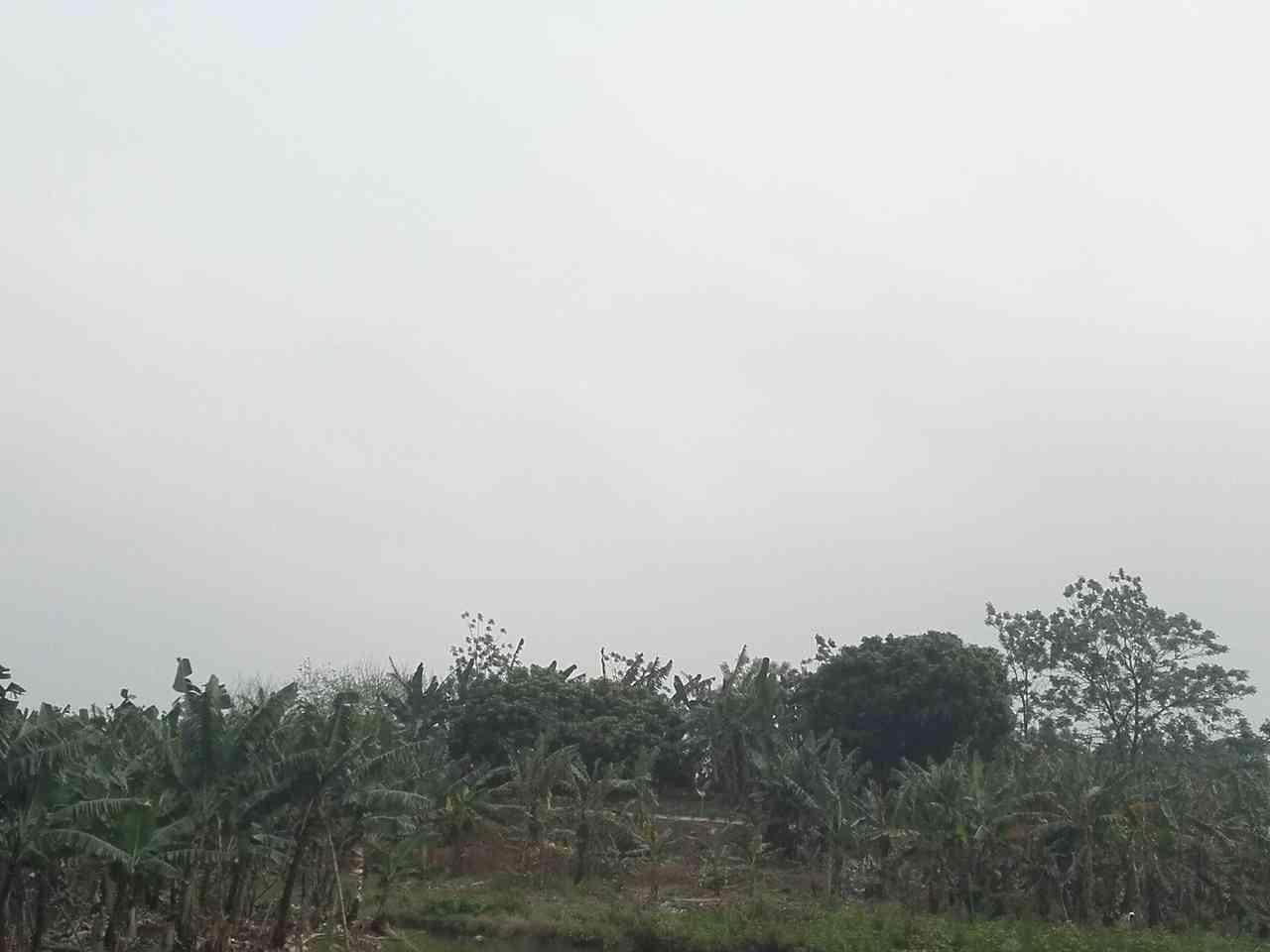 小那帽
