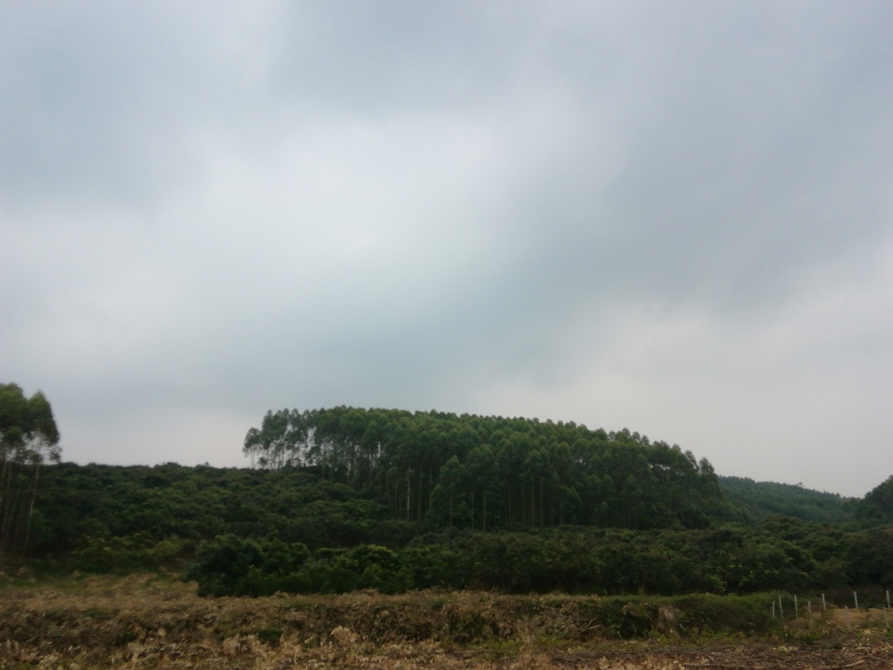 马弄岭