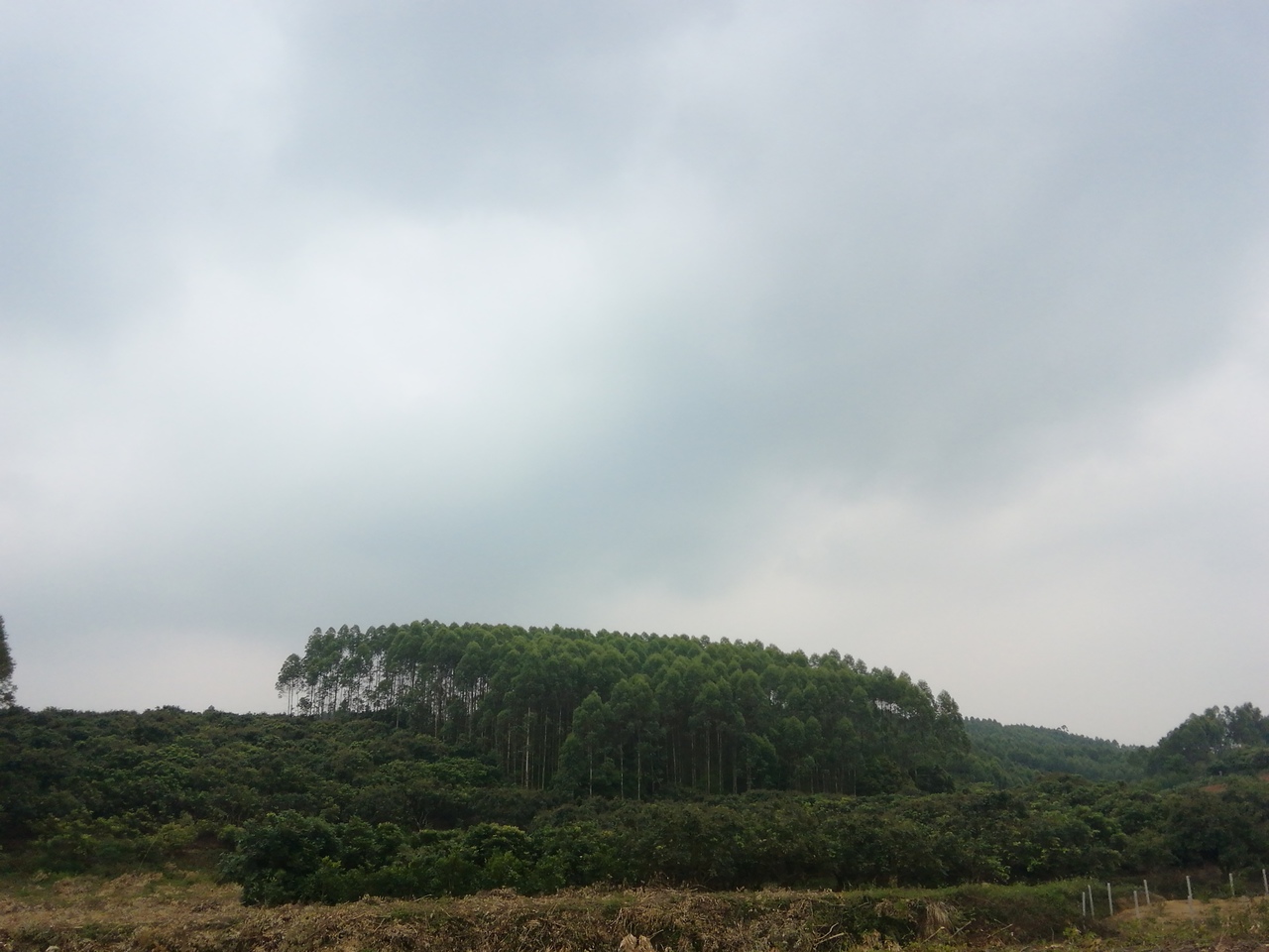 马弄岭
