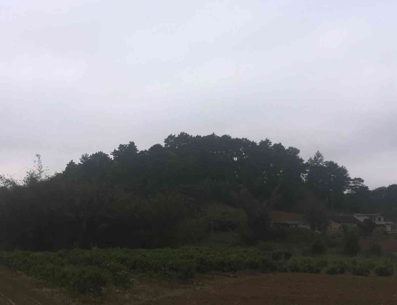 田洲岭