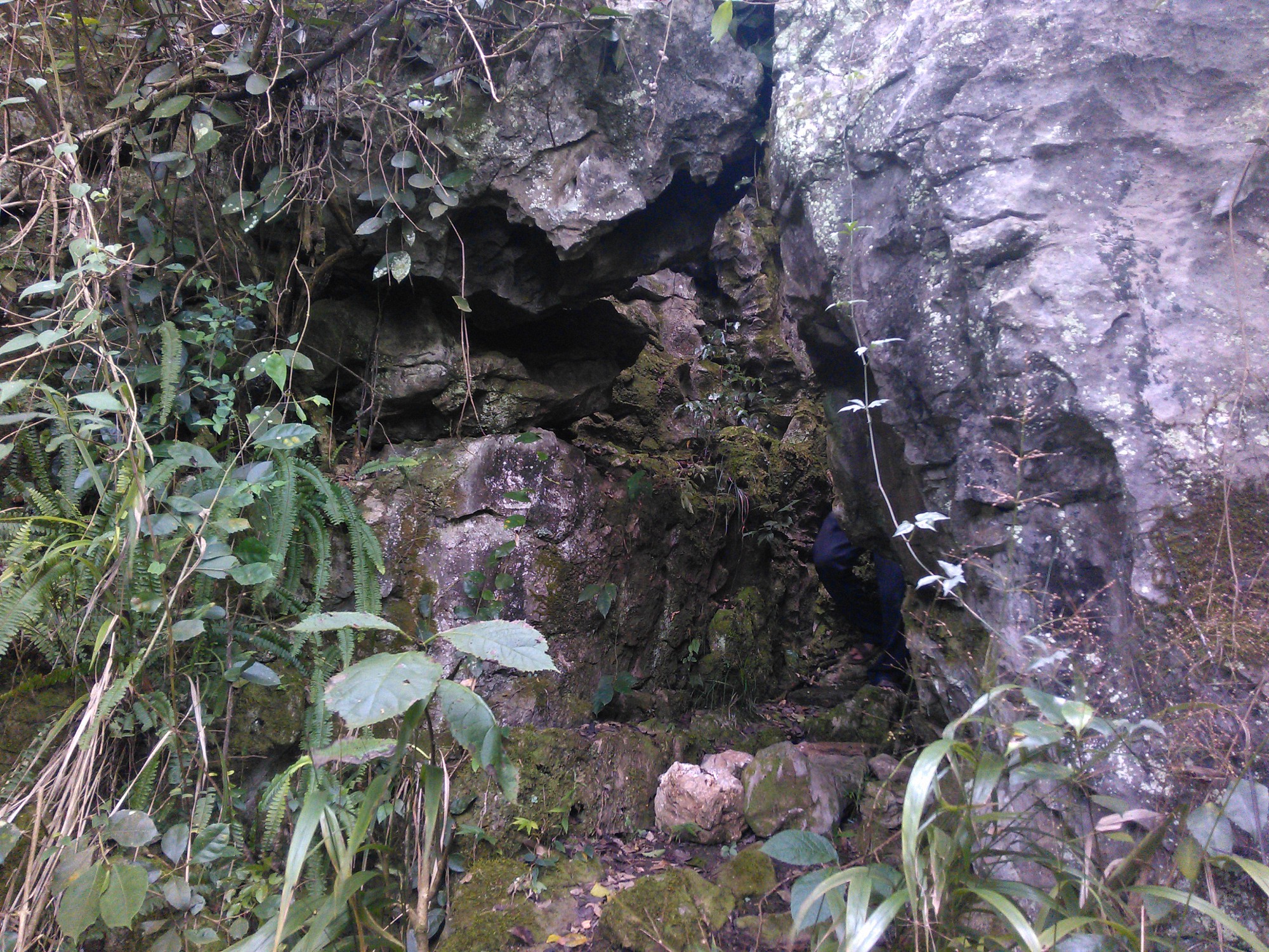 小岩