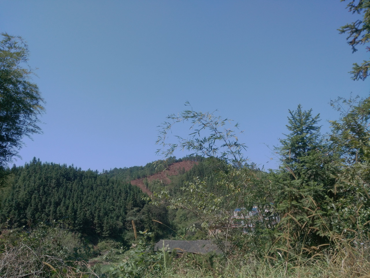 陆秀冲