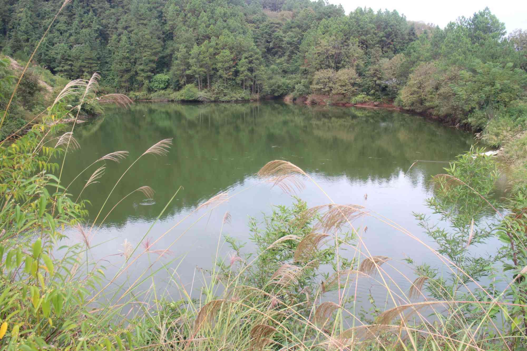 黑冲水库