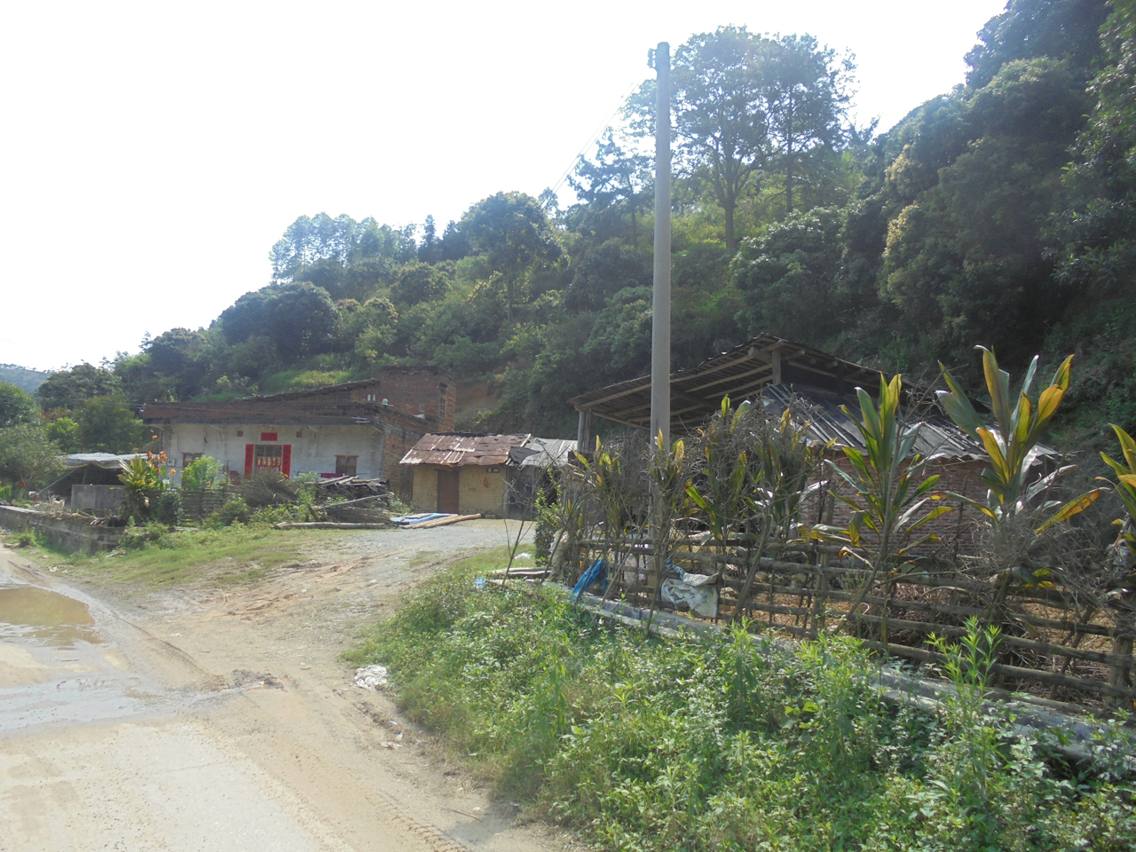 书家村