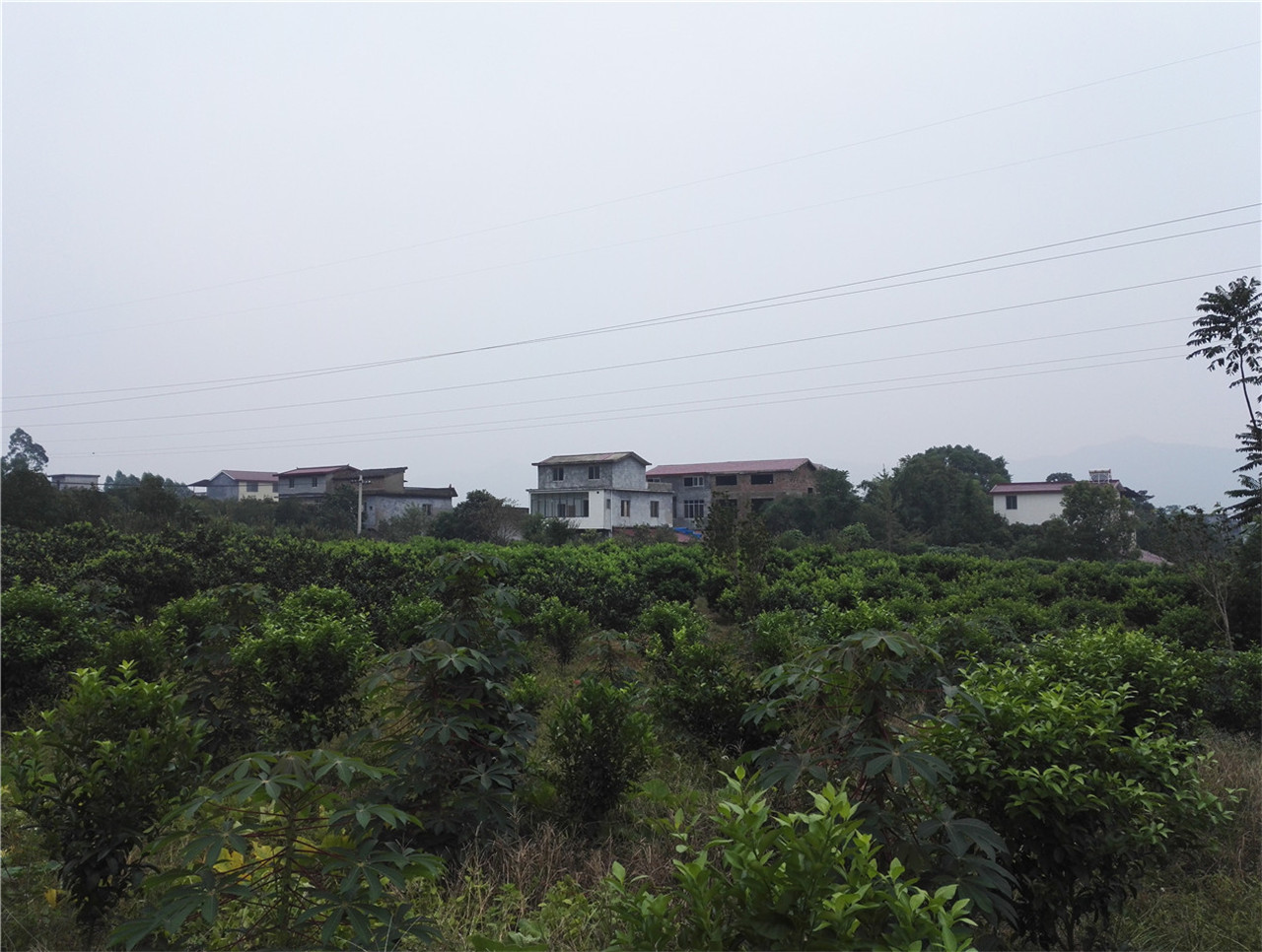 黄元屯