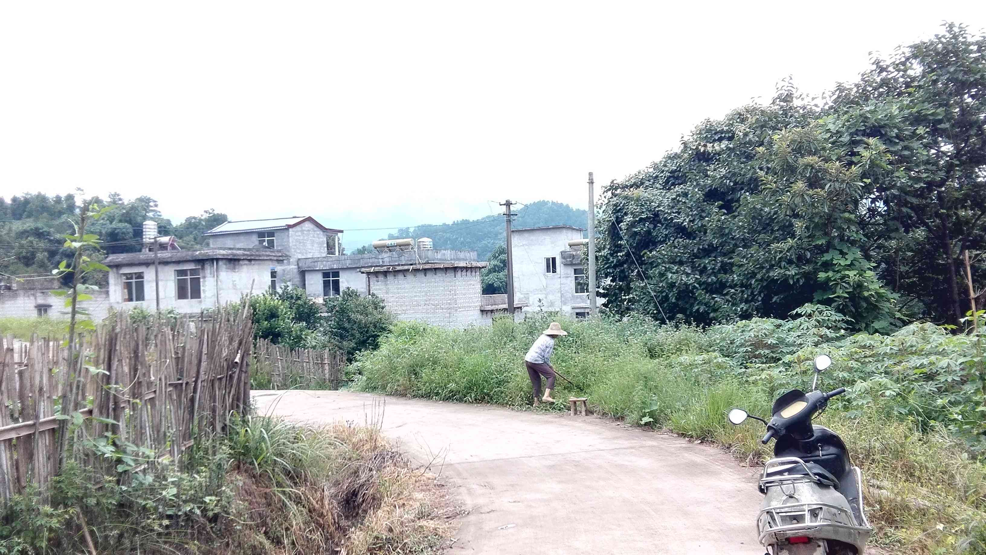六广口村