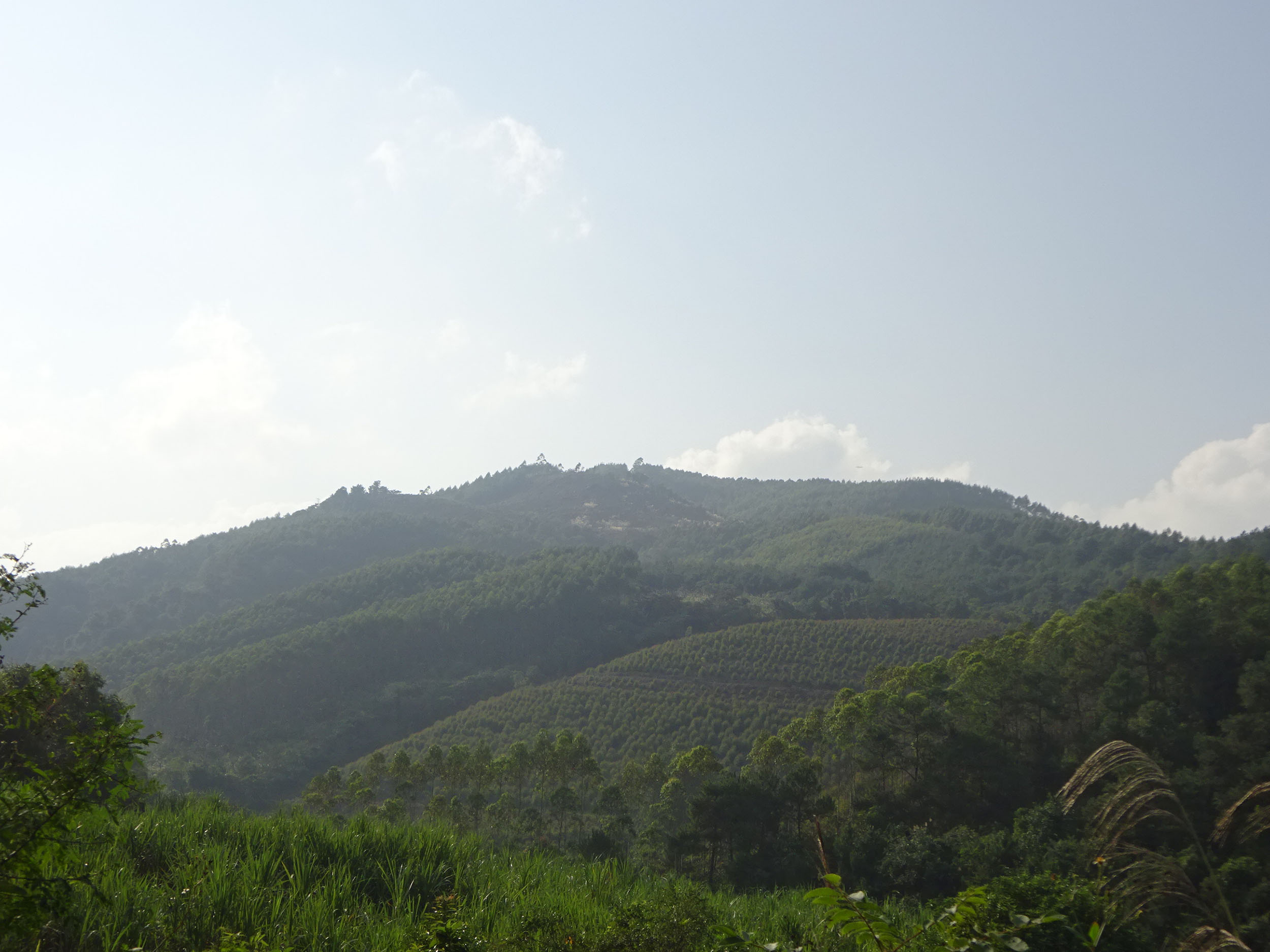 龙支岭