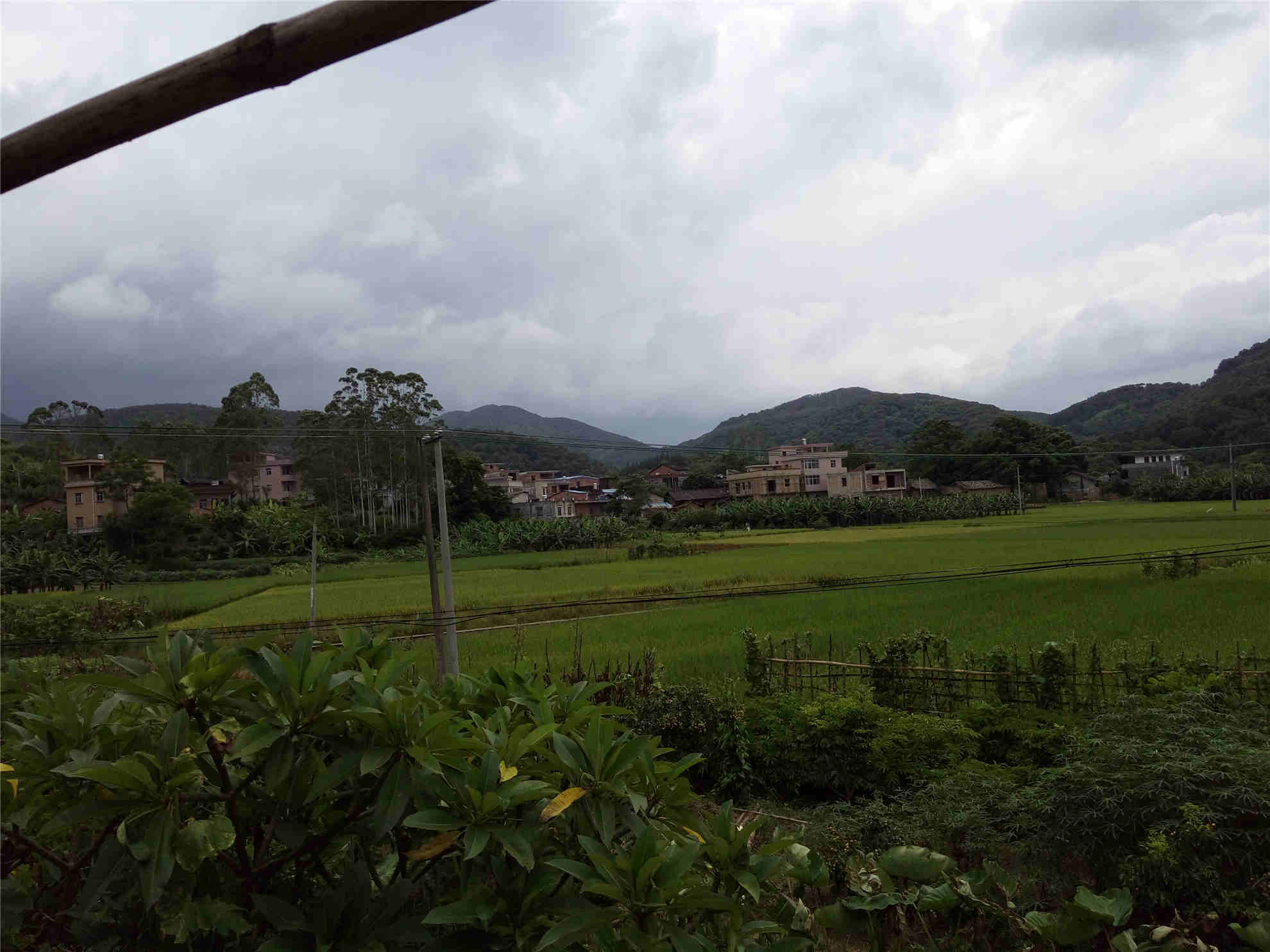 谷子坡村