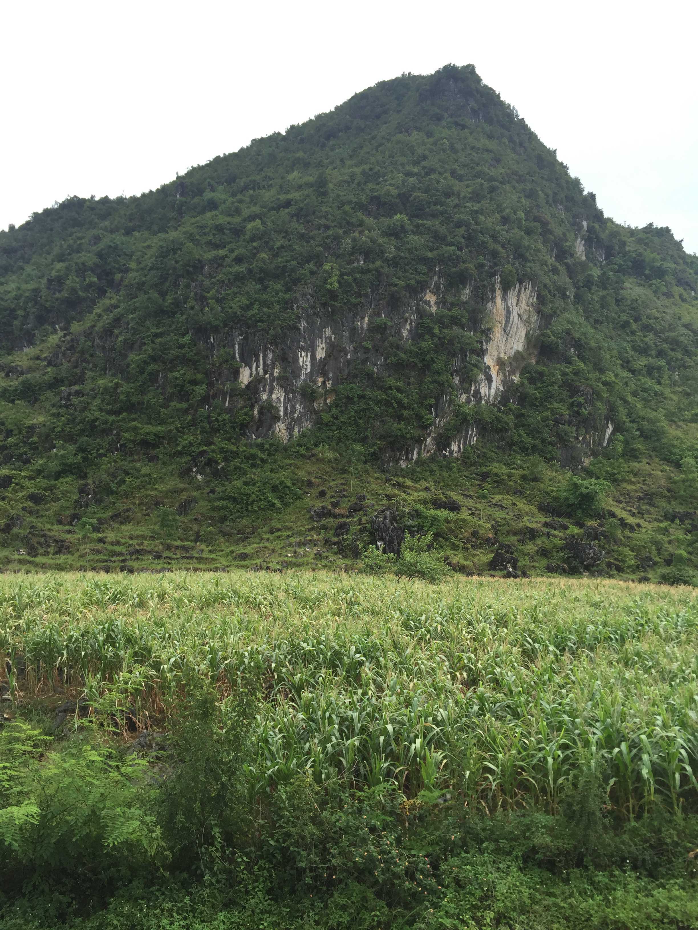 排岜勇山