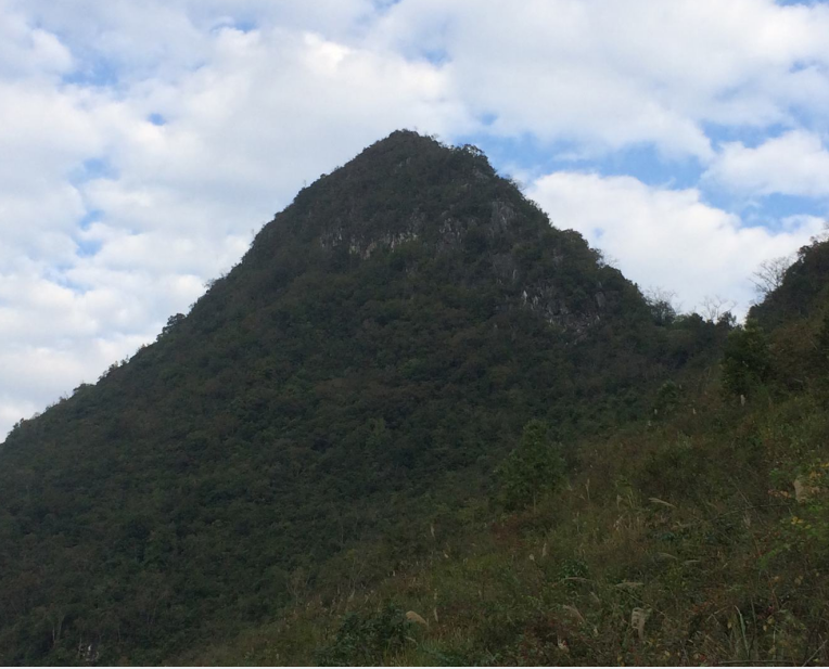 杨同山