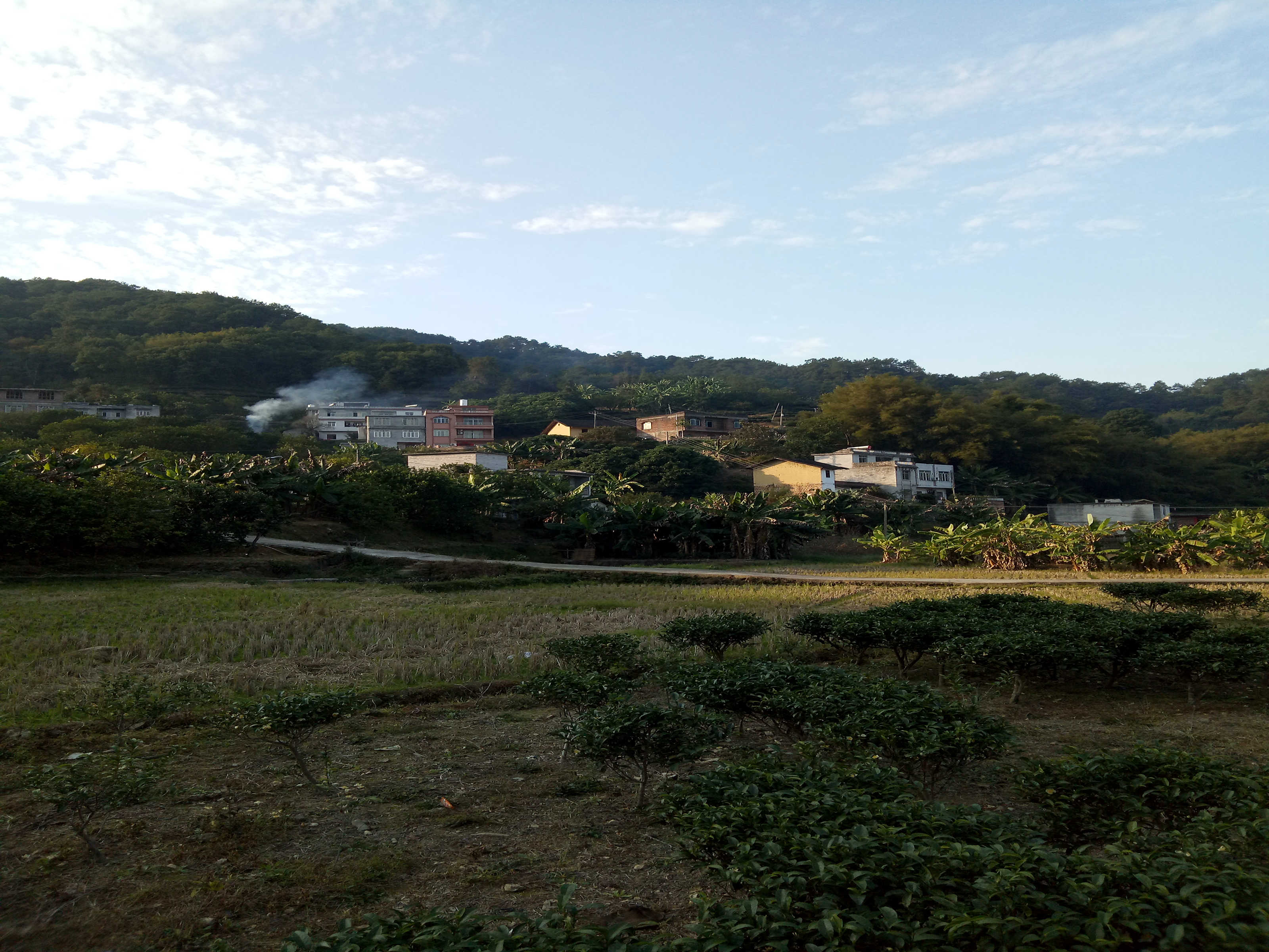 洲头寨