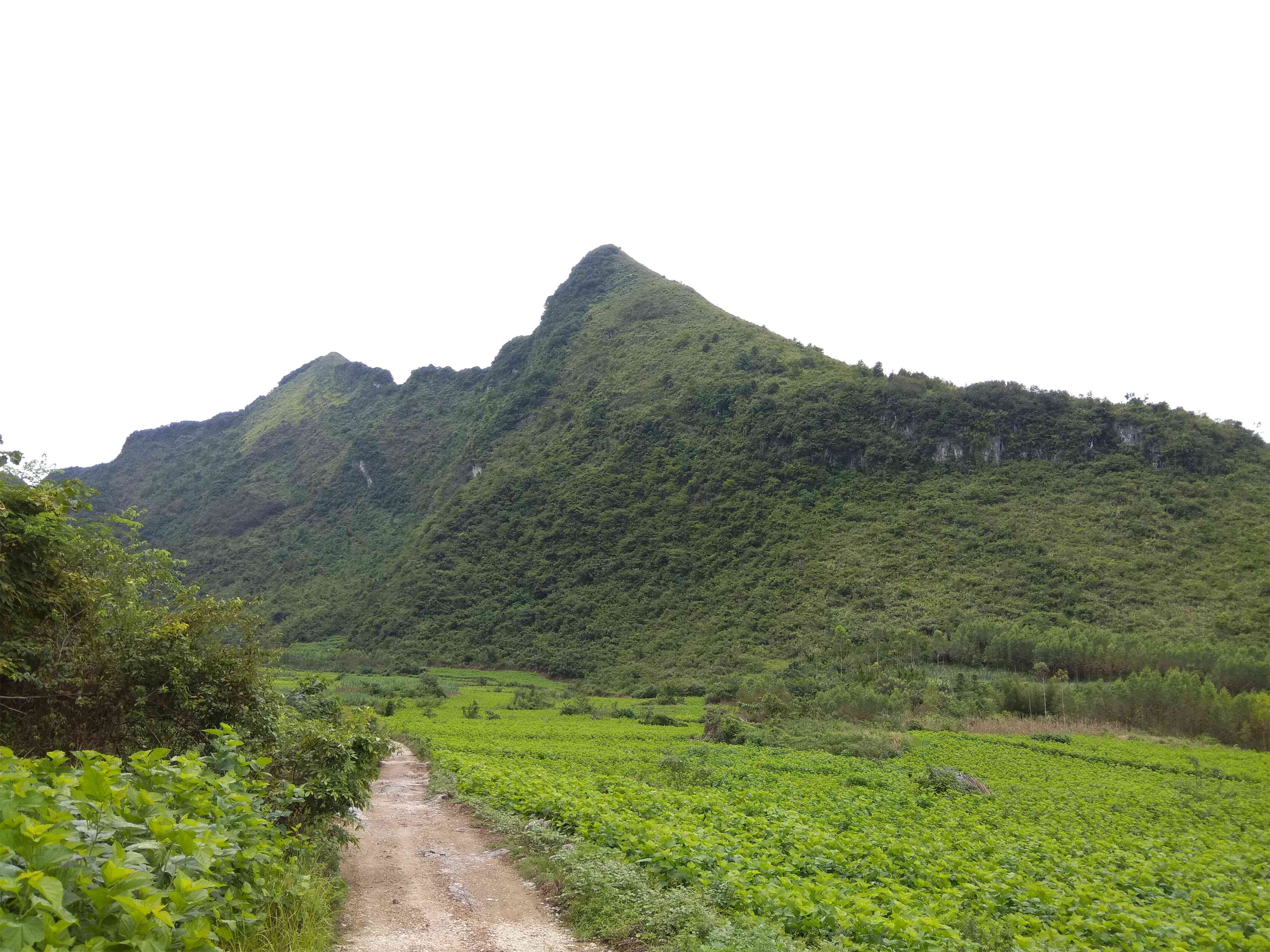 岜钢山