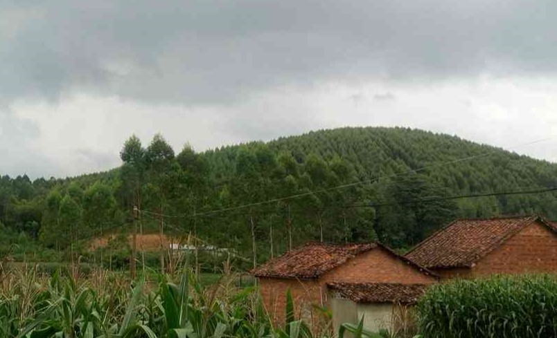 权艾山