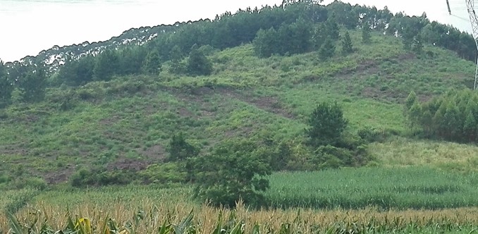 北冲江