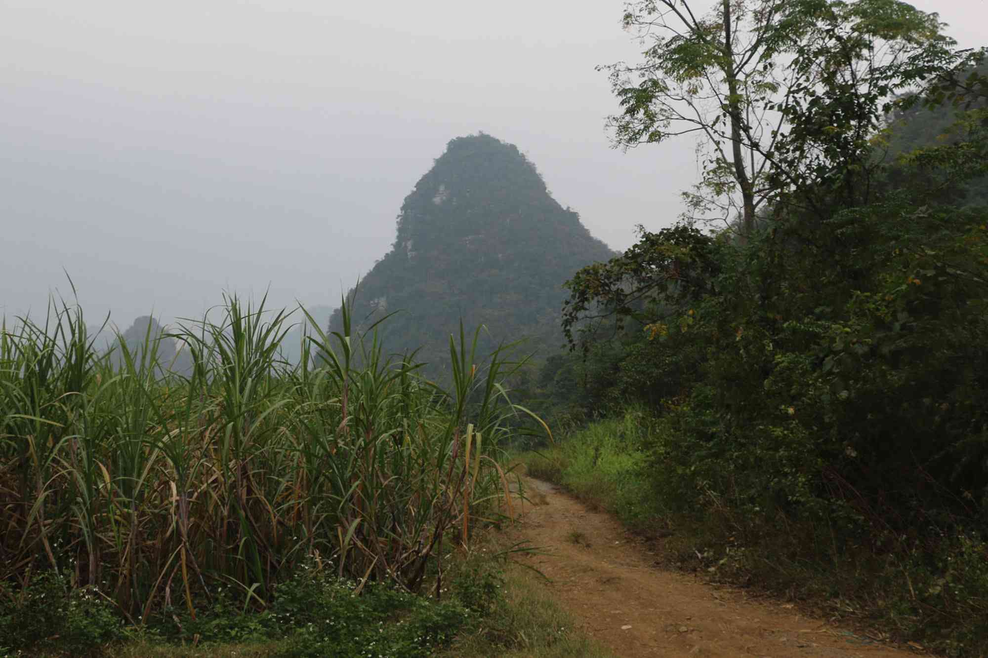 大牙山