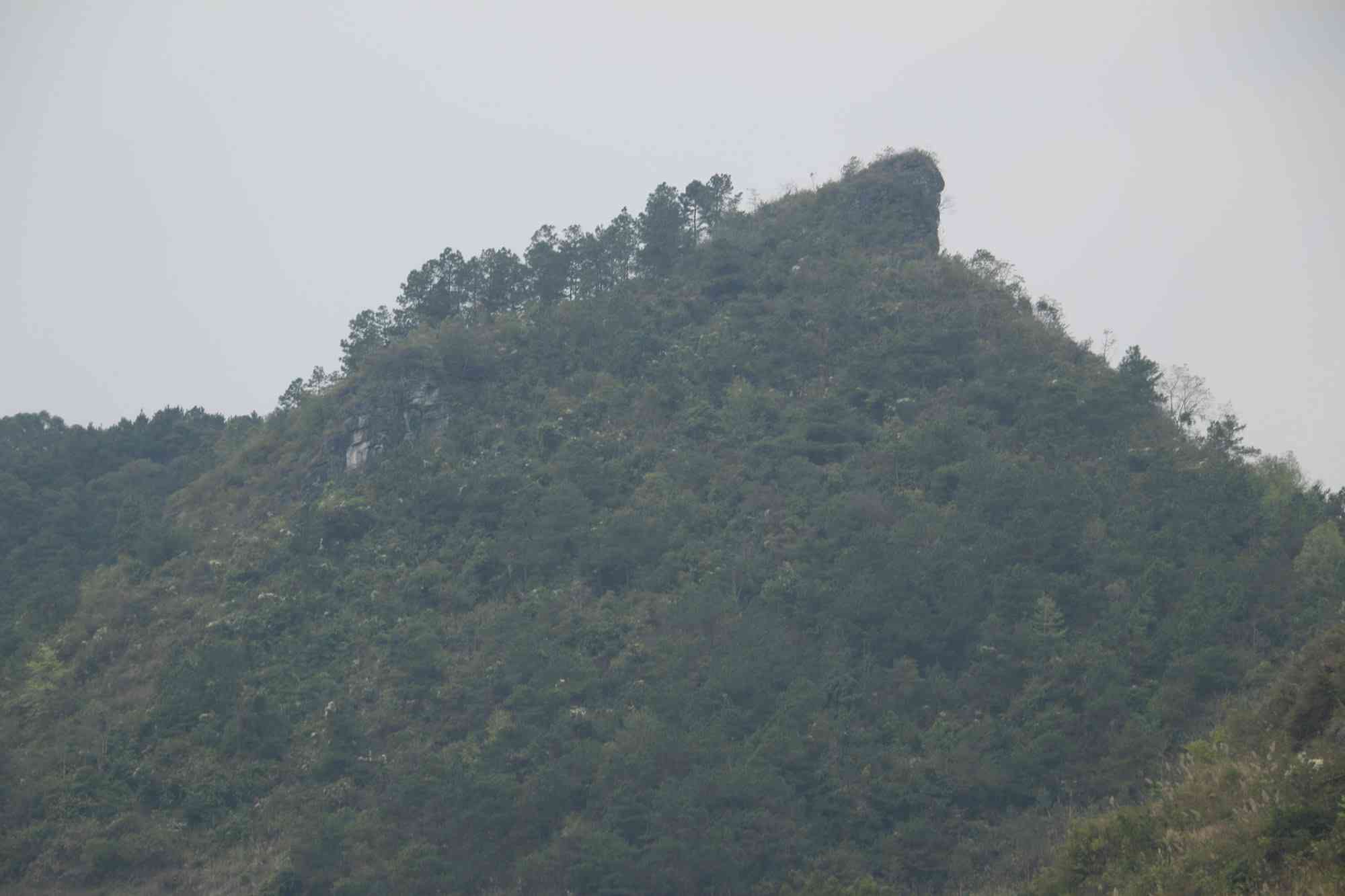 岜遂乐岭