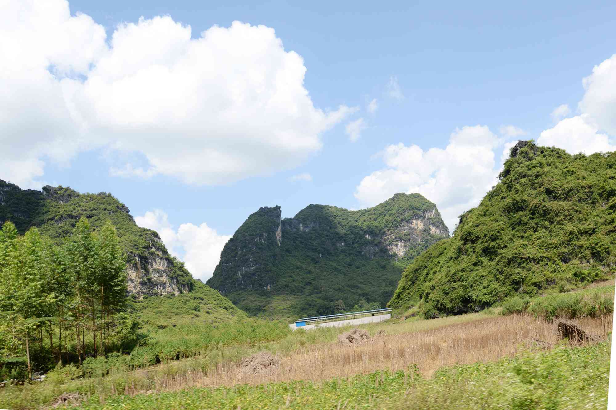 陇恩