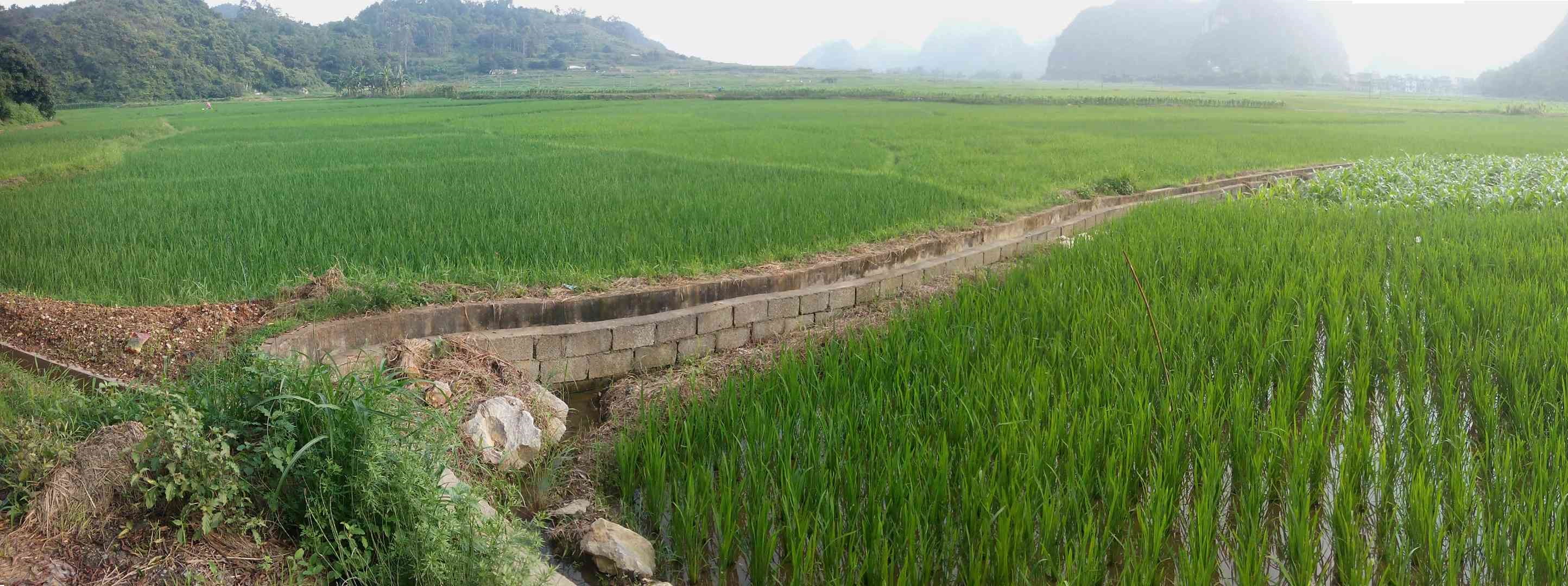 岩秀