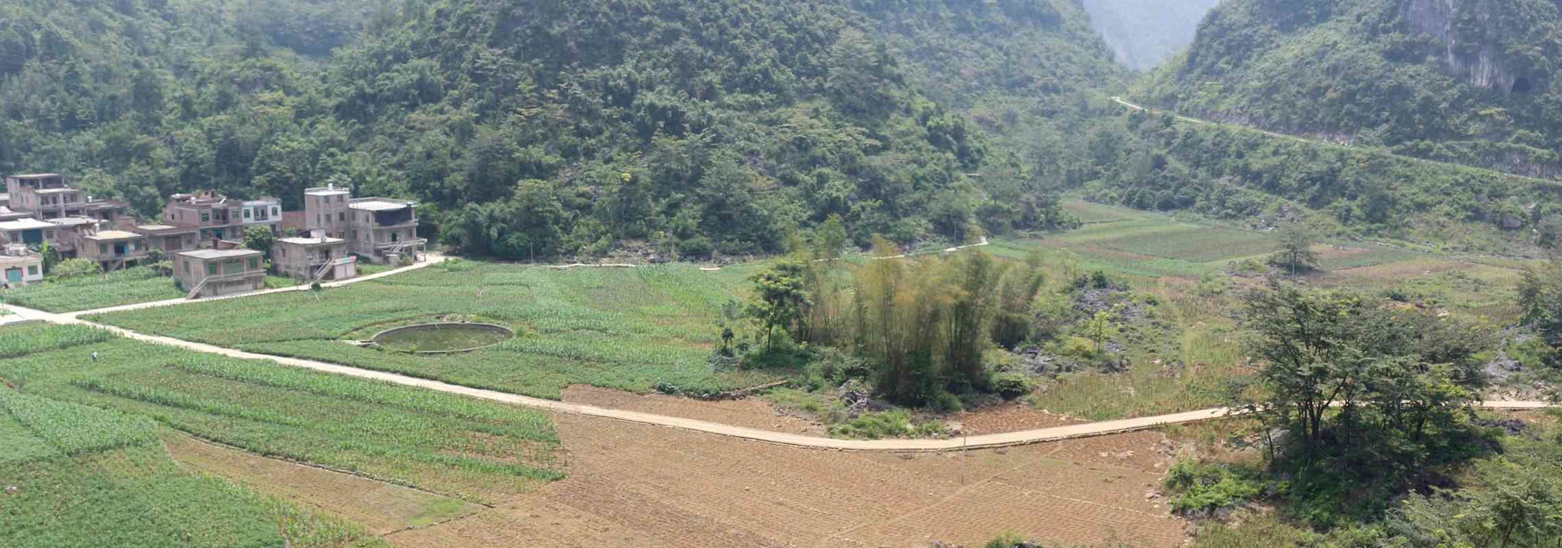 对那片