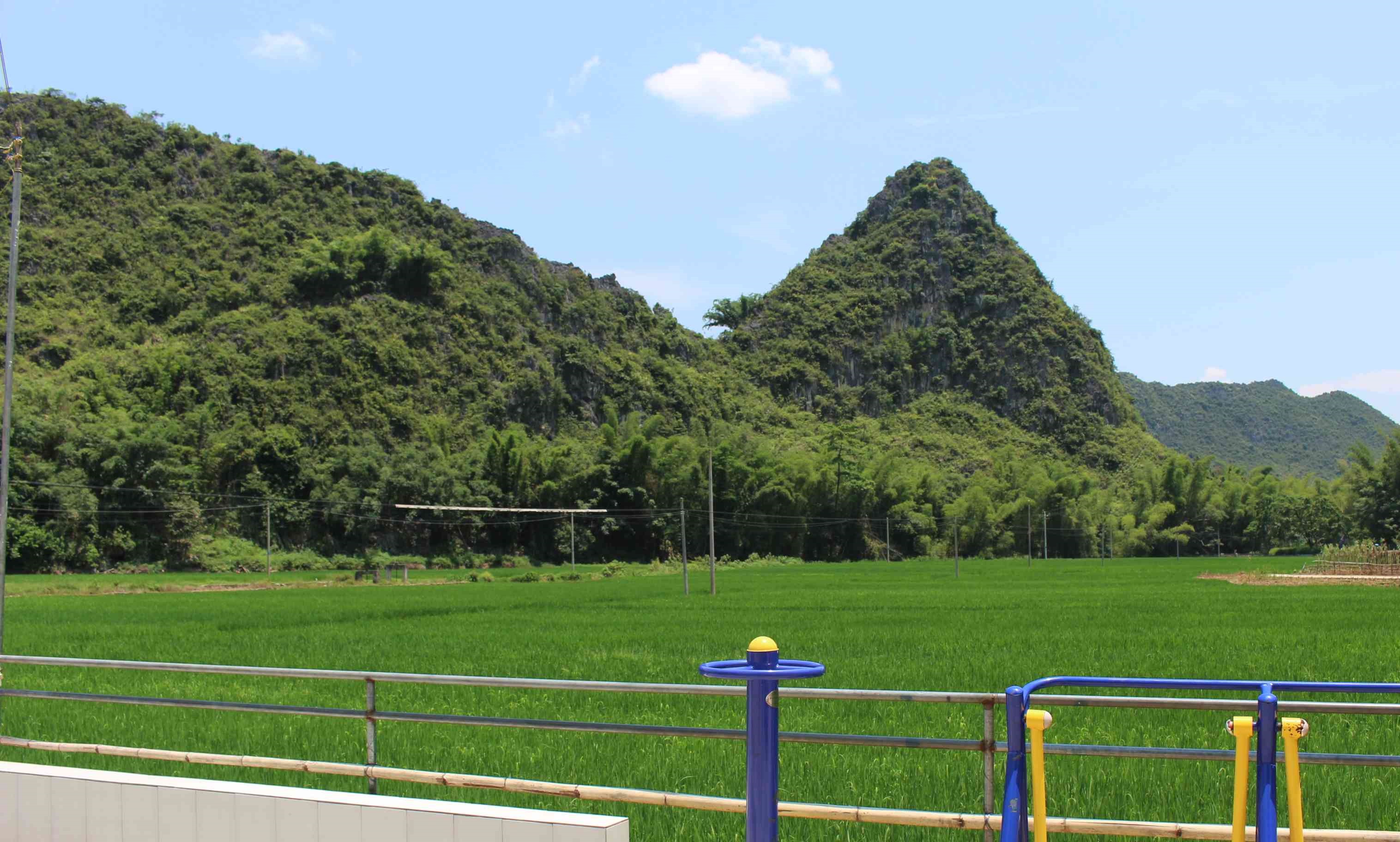 垌坝地
