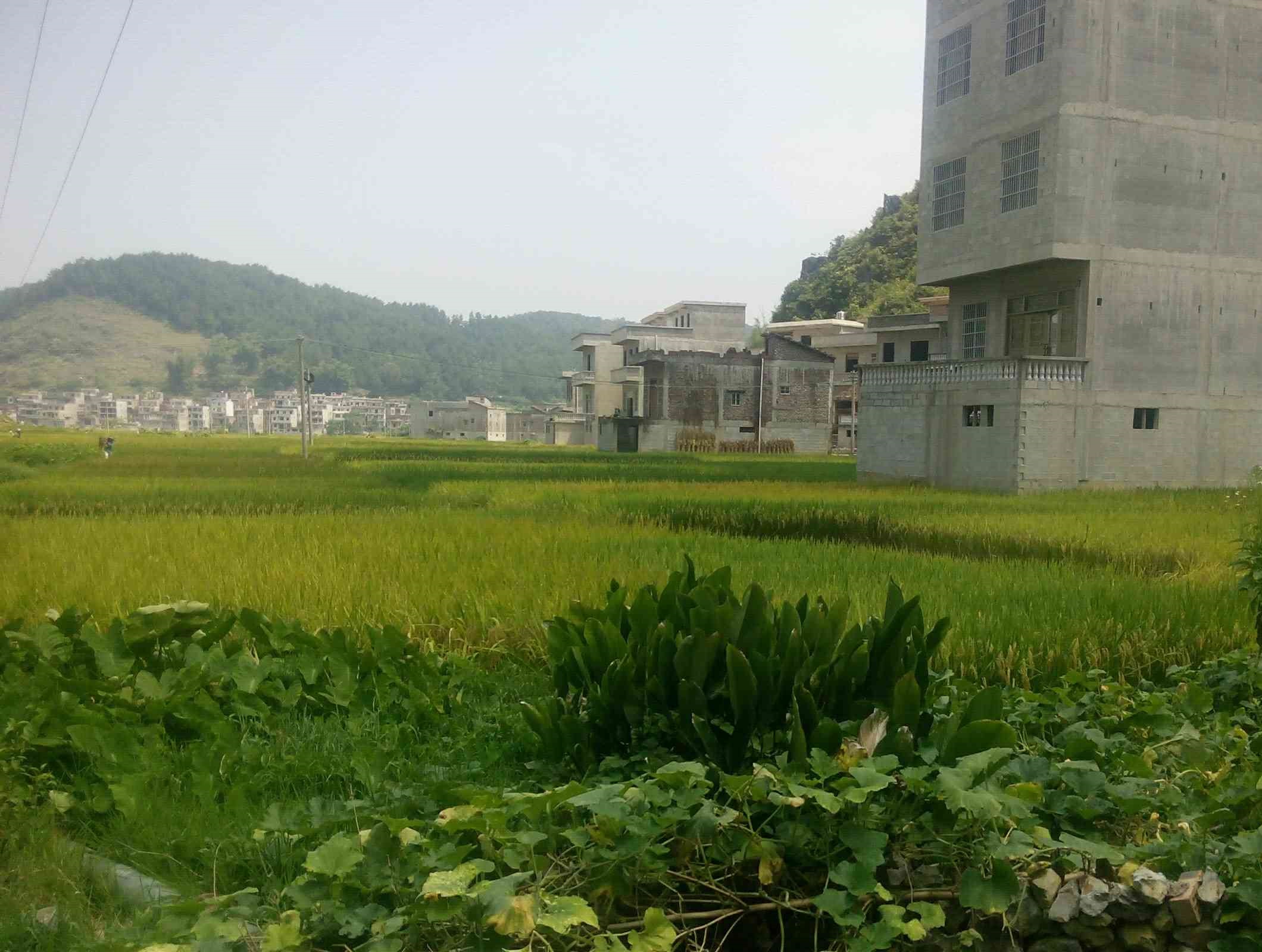 洞庙
