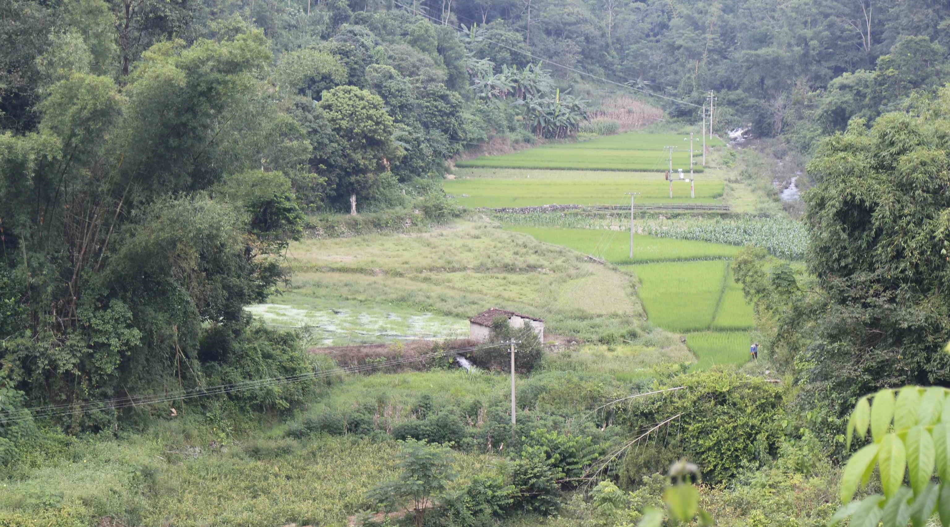 那庚念