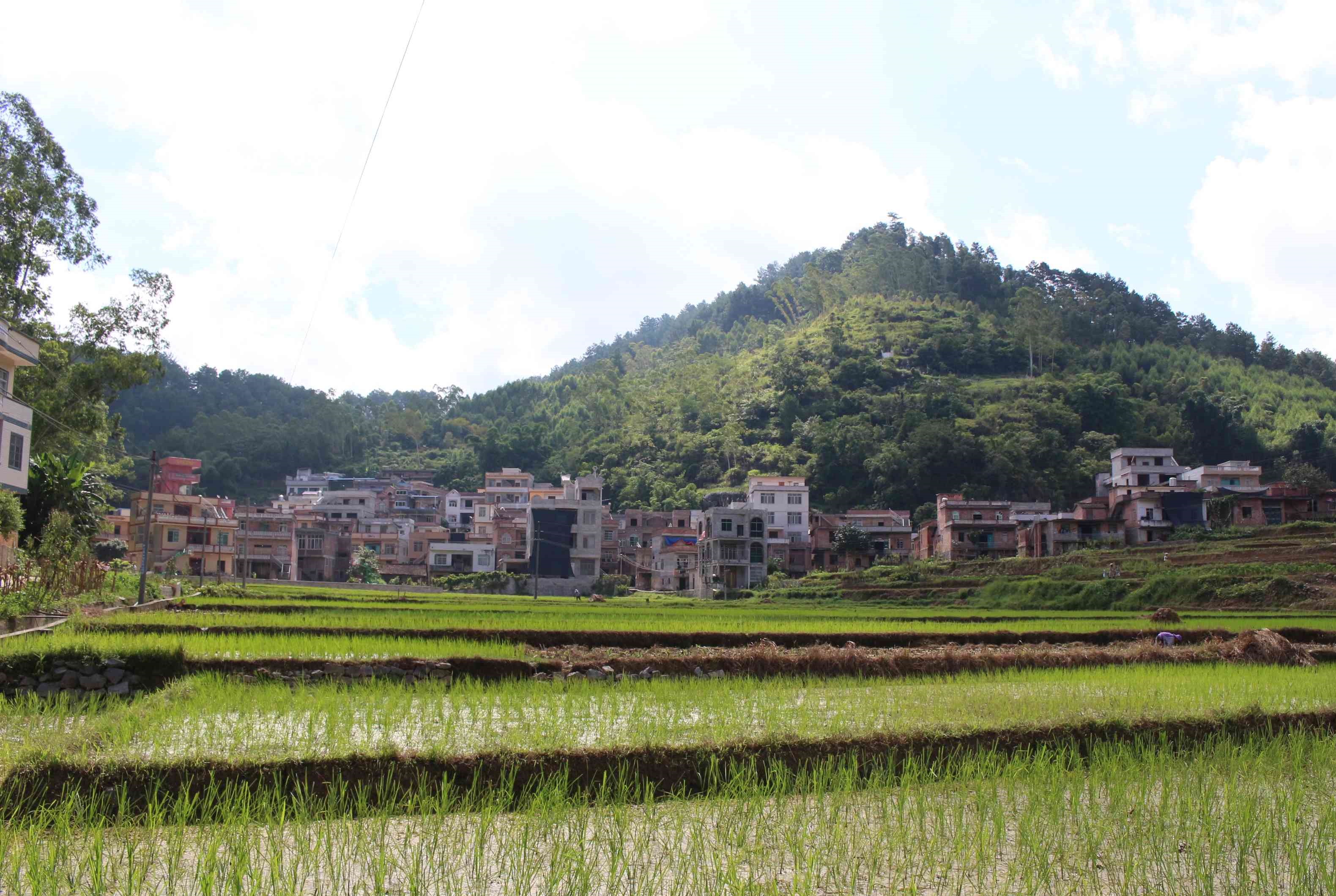 岜体