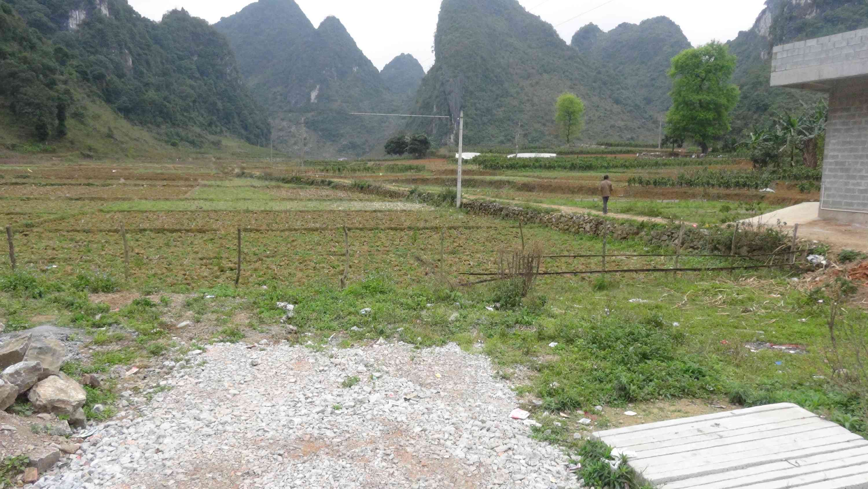 康垌片