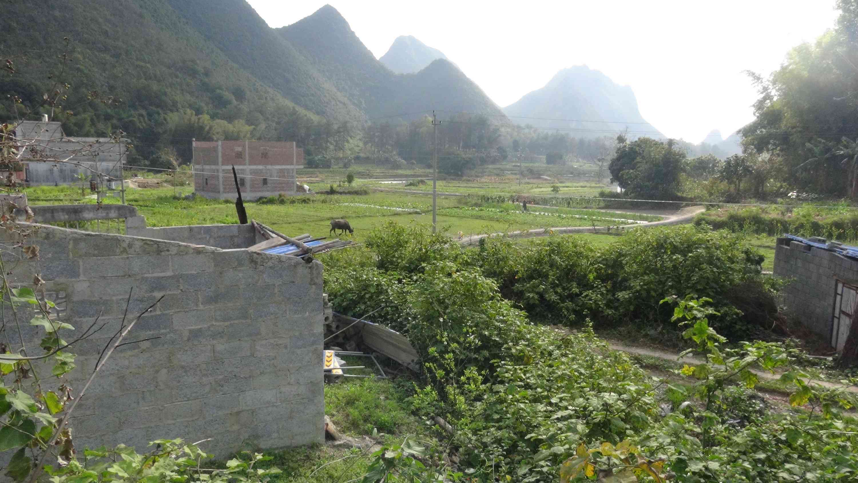 那岩燕