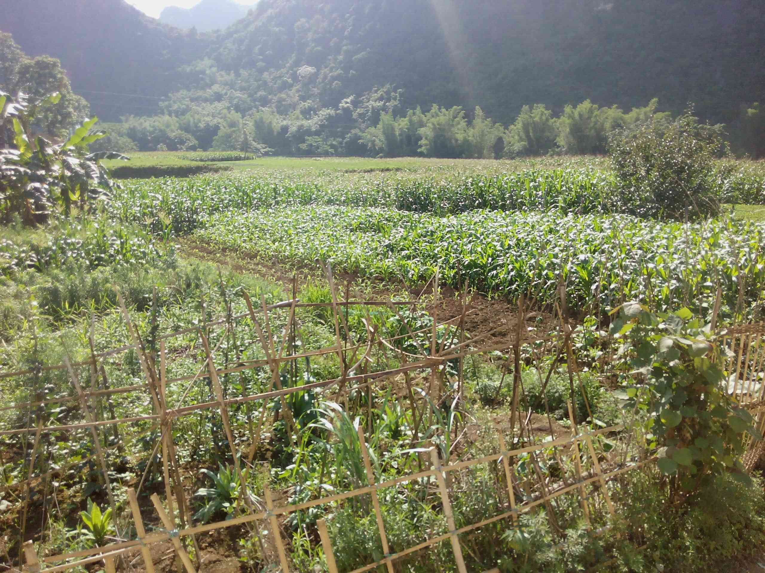 山门口